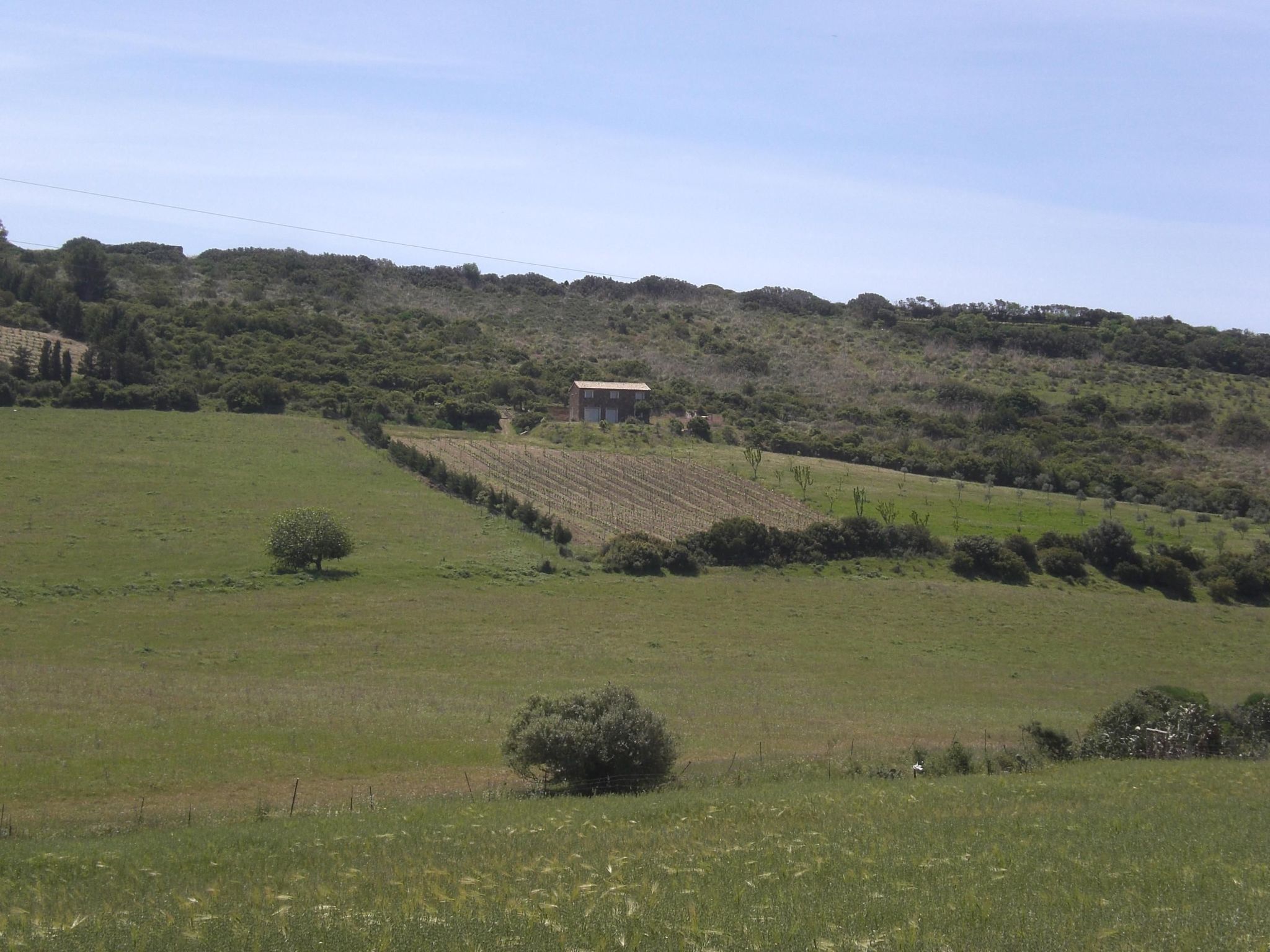 Unterkunft in einer Höhle mit Privatparkplatz-Binnen