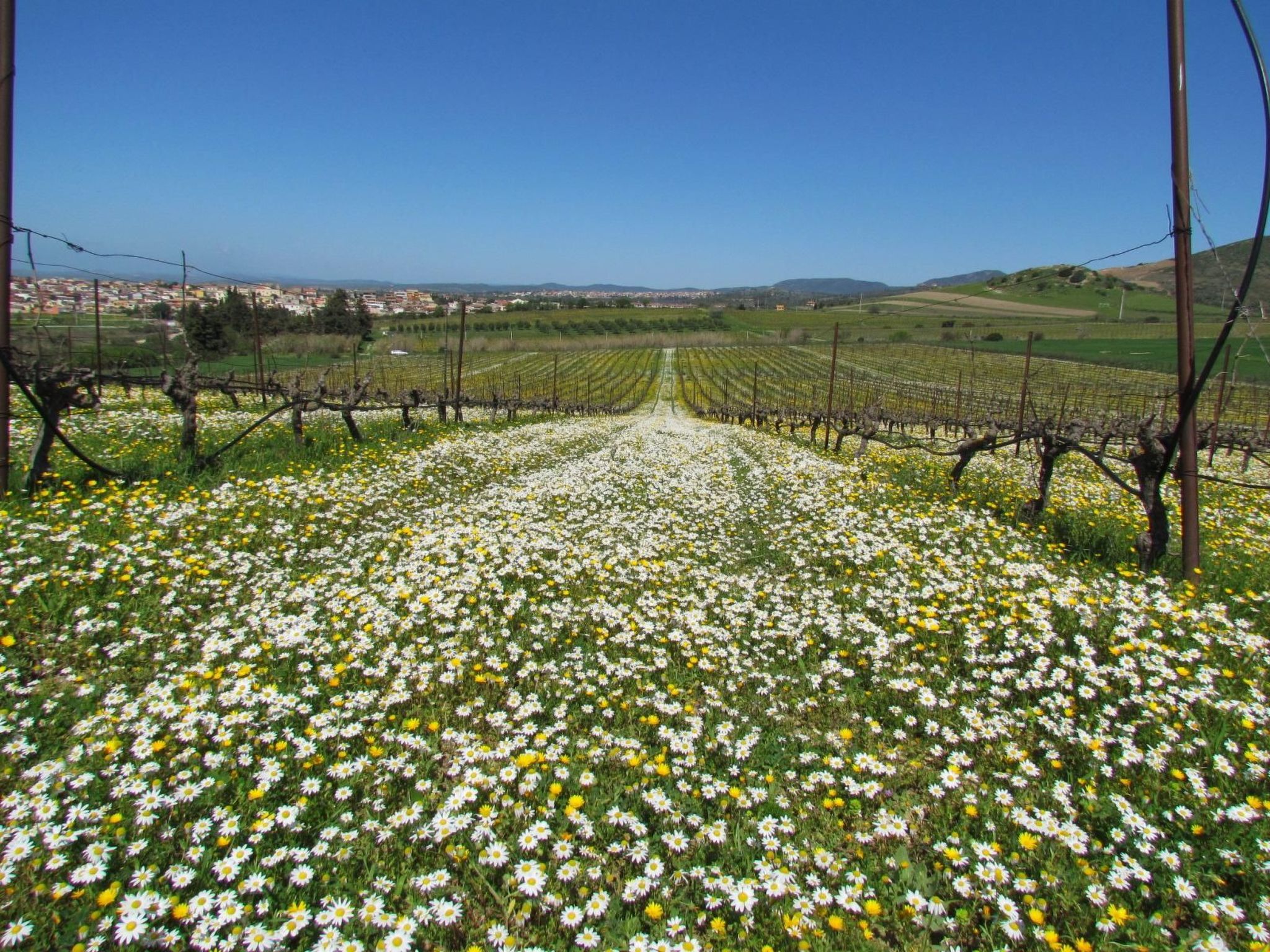 Unterkunft in einer Höhle mit Privatparkplatz-Binnen