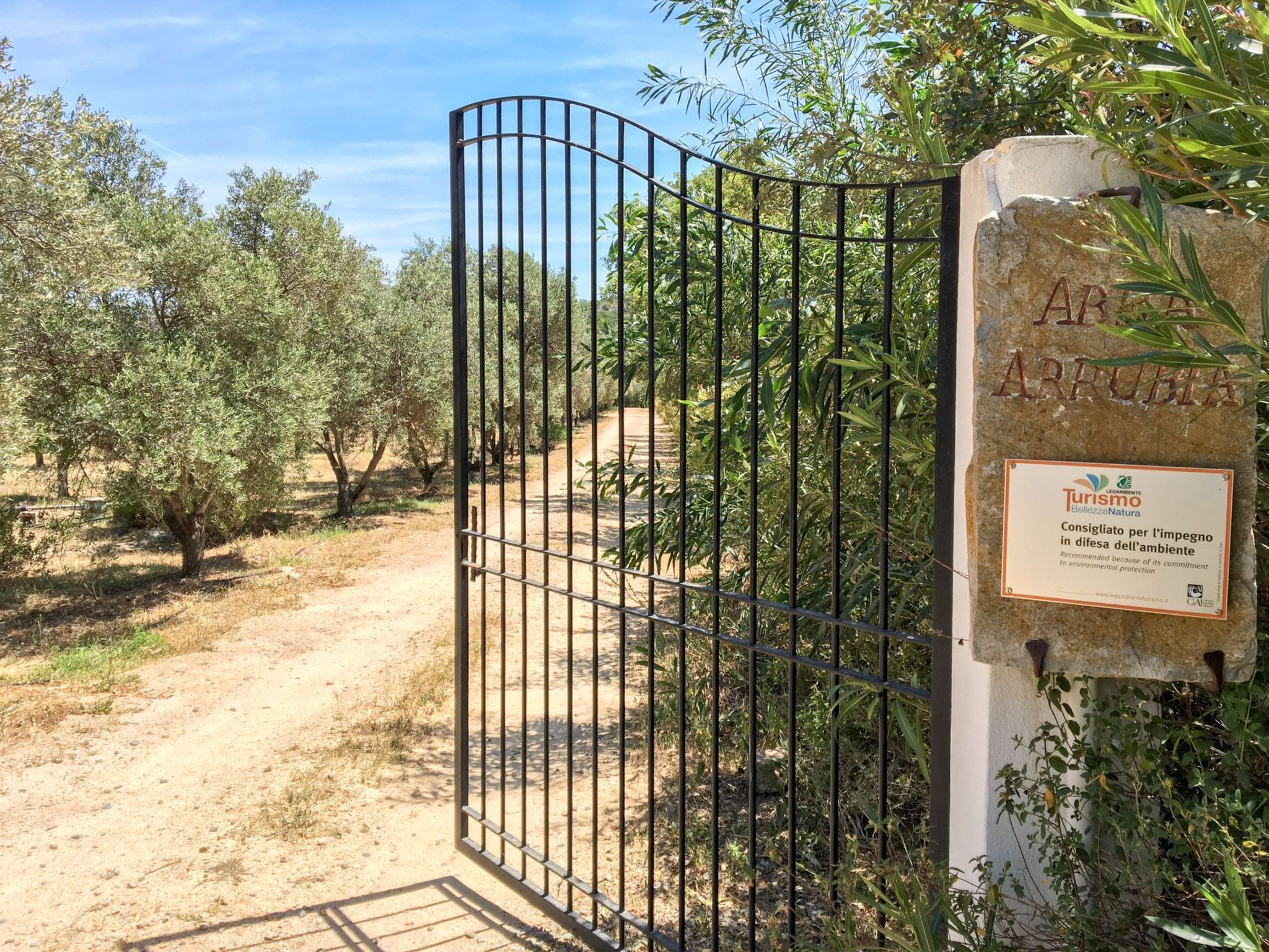 Natur, ökologische Nachhaltigkeit, nur für Erwachsene, Meer in der Nähe-Binnen