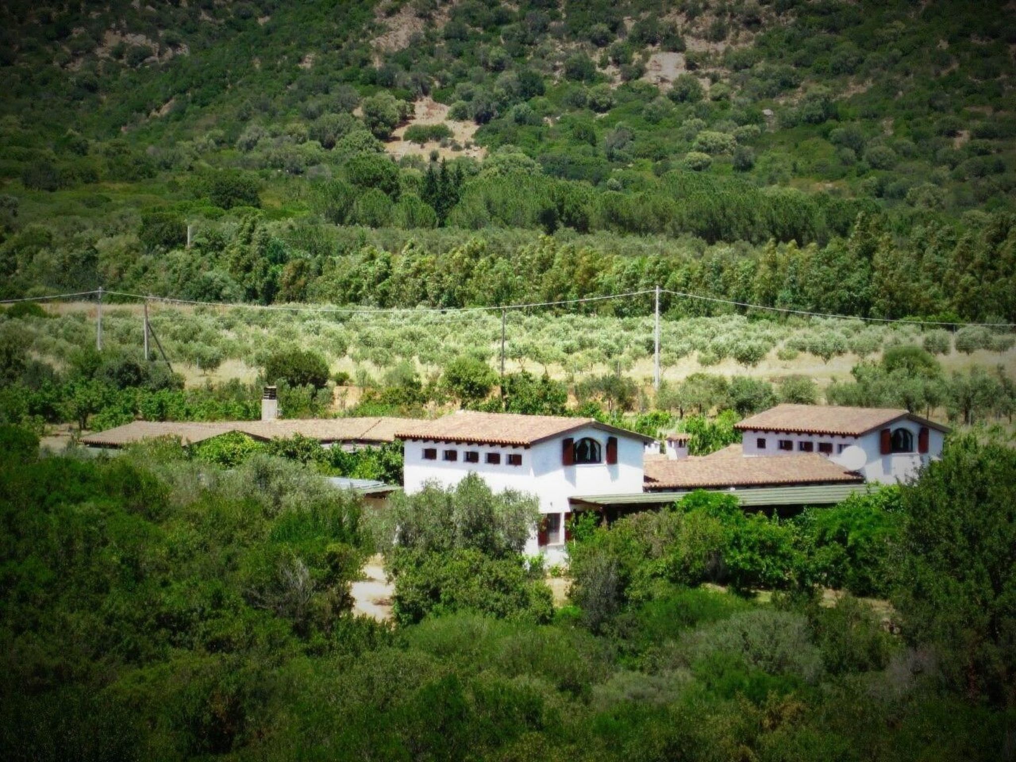 Natur, ökologische Nachhaltigkeit, nur für Erwachsene, Meer in der Nähe-Binnen