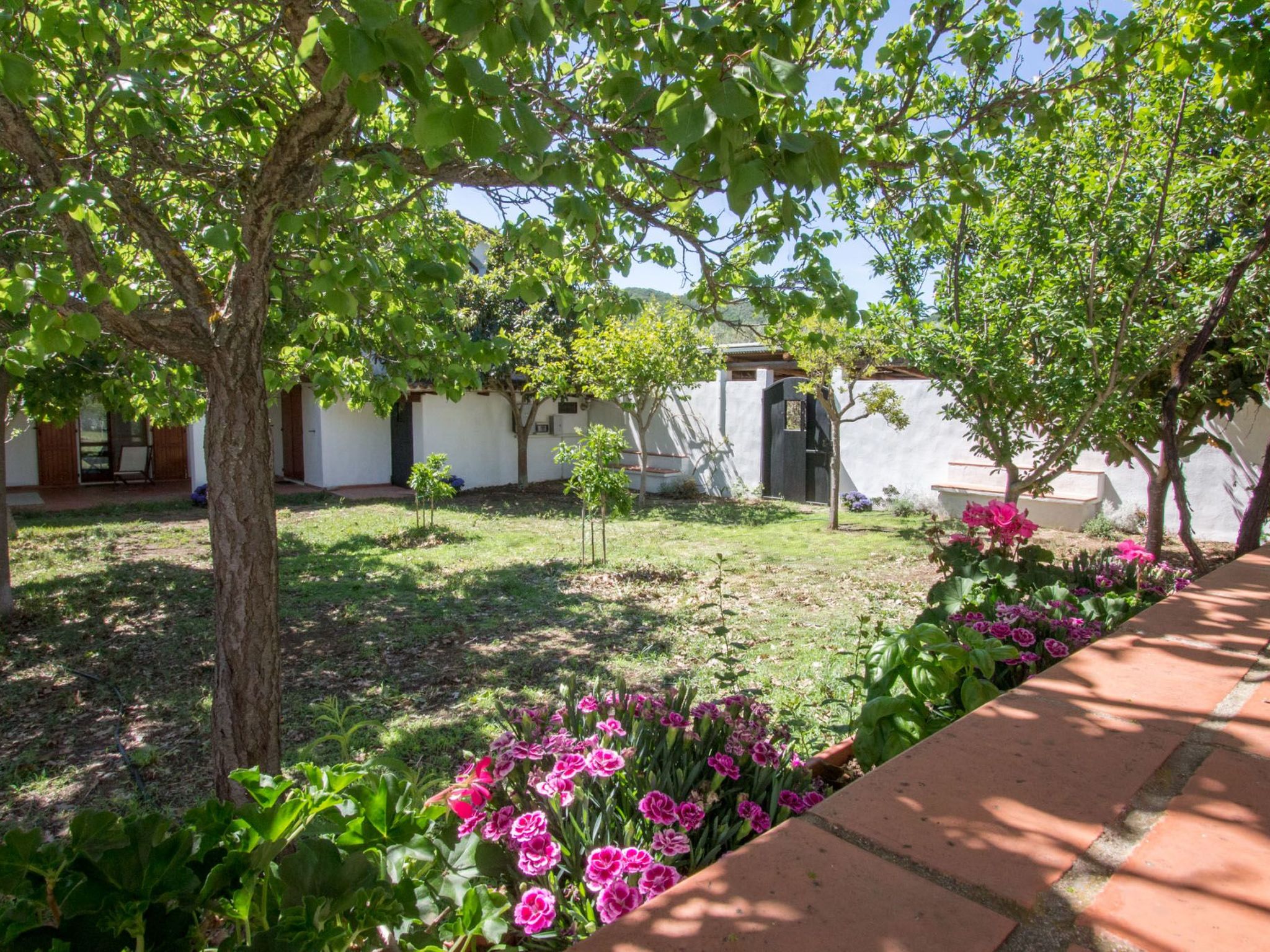 Natur, ökologische Nachhaltigkeit, nur für Erwachsene, Meer in der Nähe-Binnen