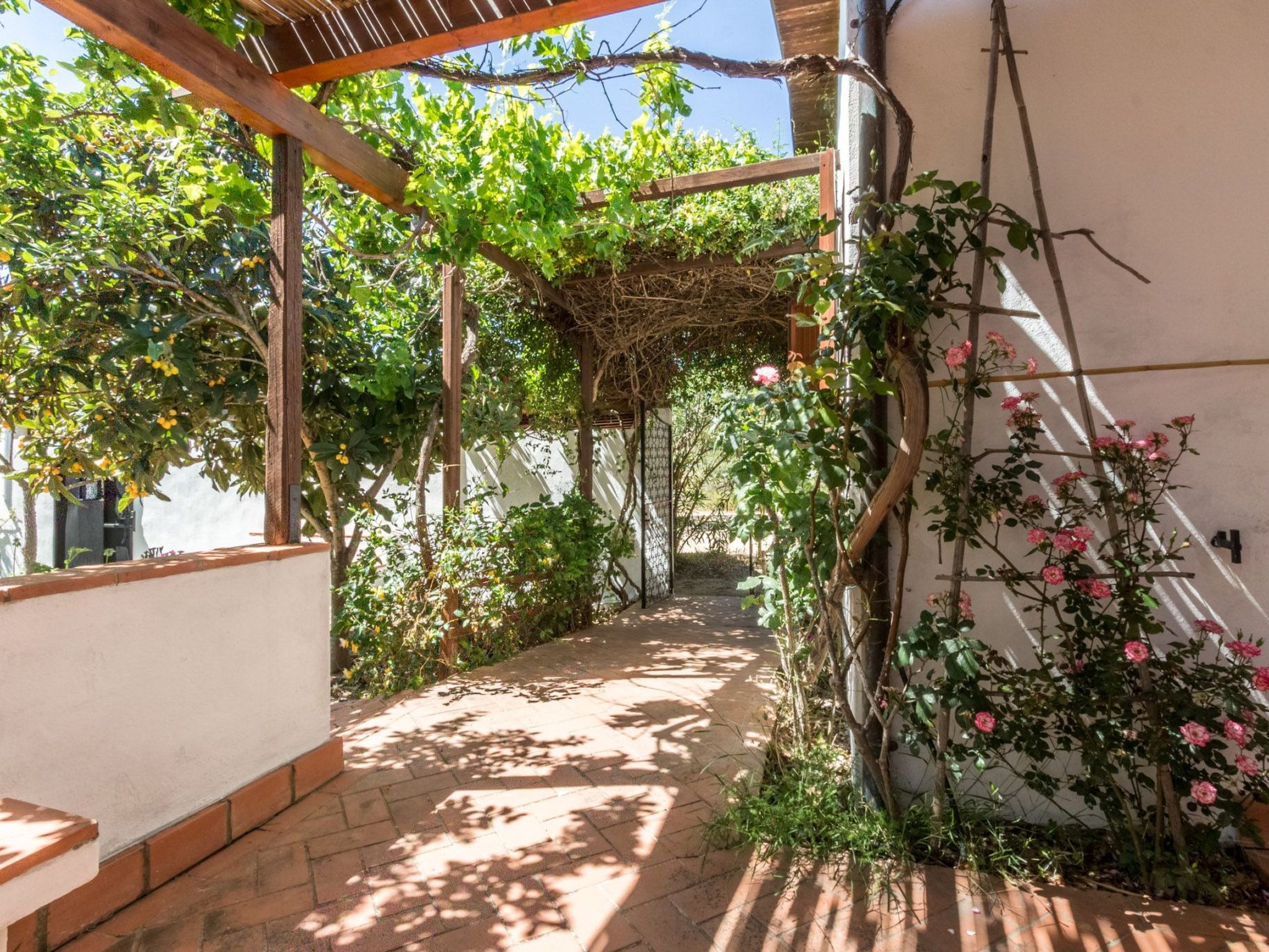 Natur, ökologische Nachhaltigkeit, nur für Erwachsene, Meer in der Nähe-Binnen