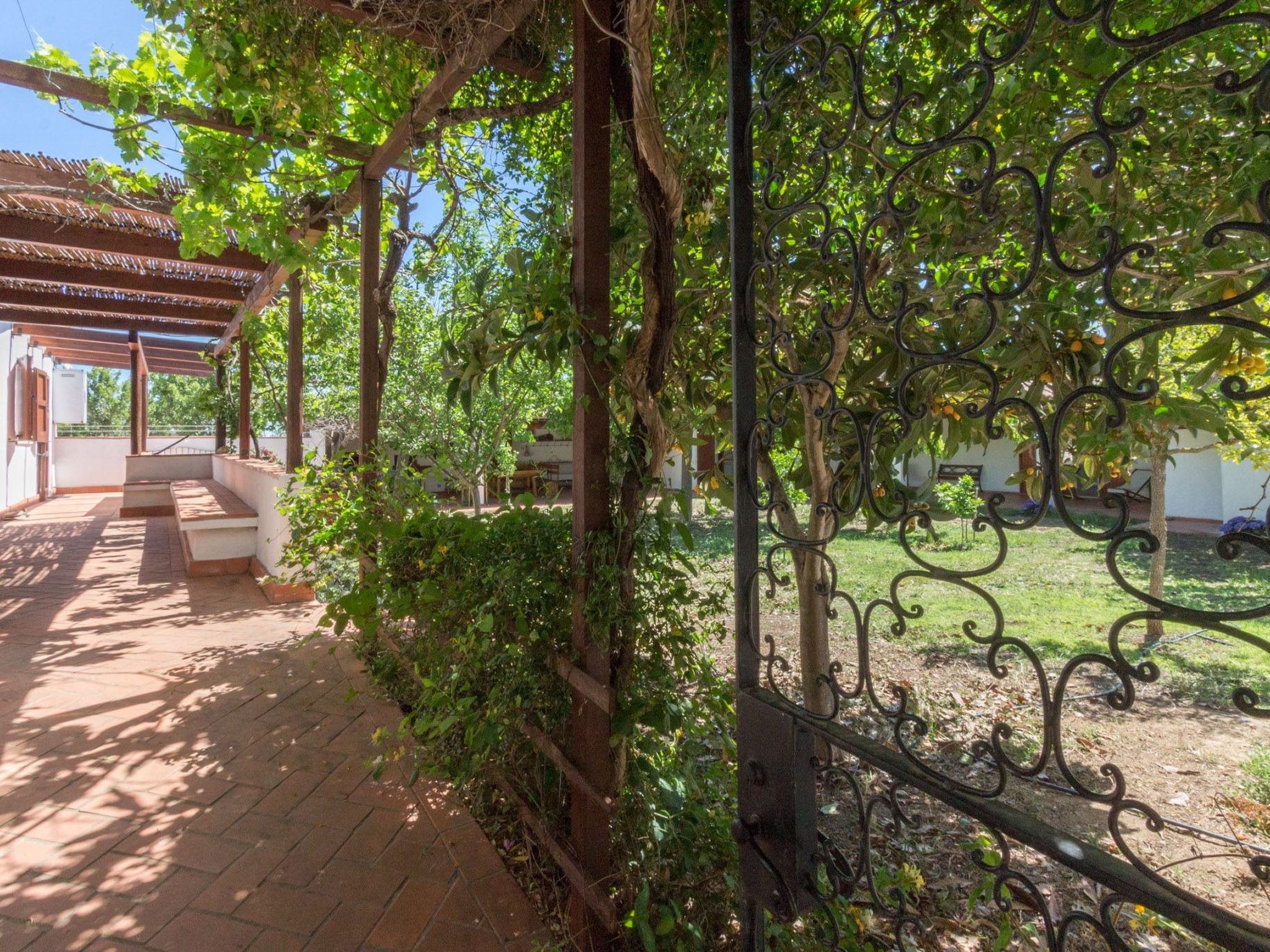 Natur, ökologische Nachhaltigkeit, nur für Erwachsene, Meer in der Nähe-Binnen