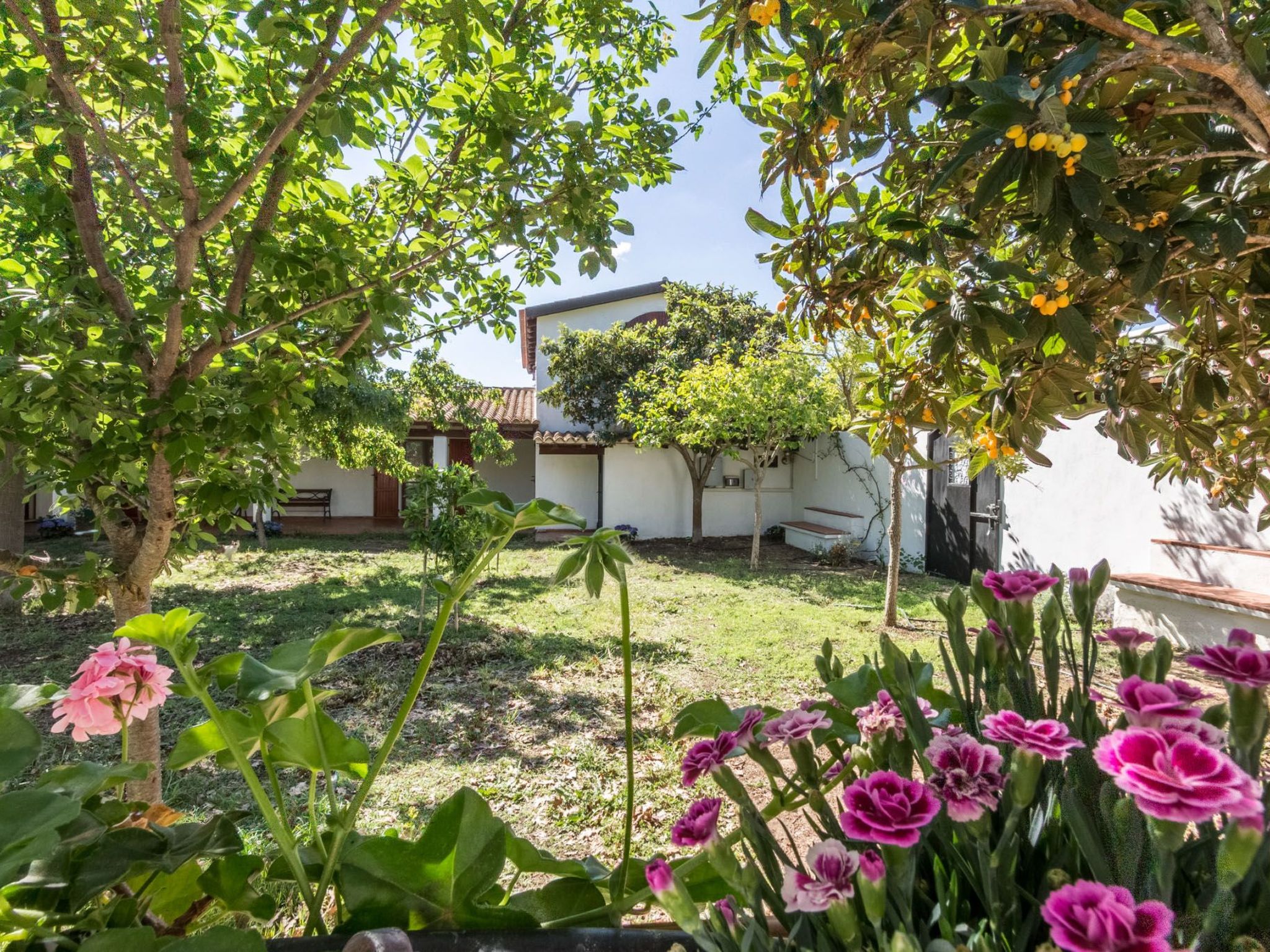 Natur, ökologische Nachhaltigkeit, nur für Erwachsene, Meer in der Nähe-Binnen