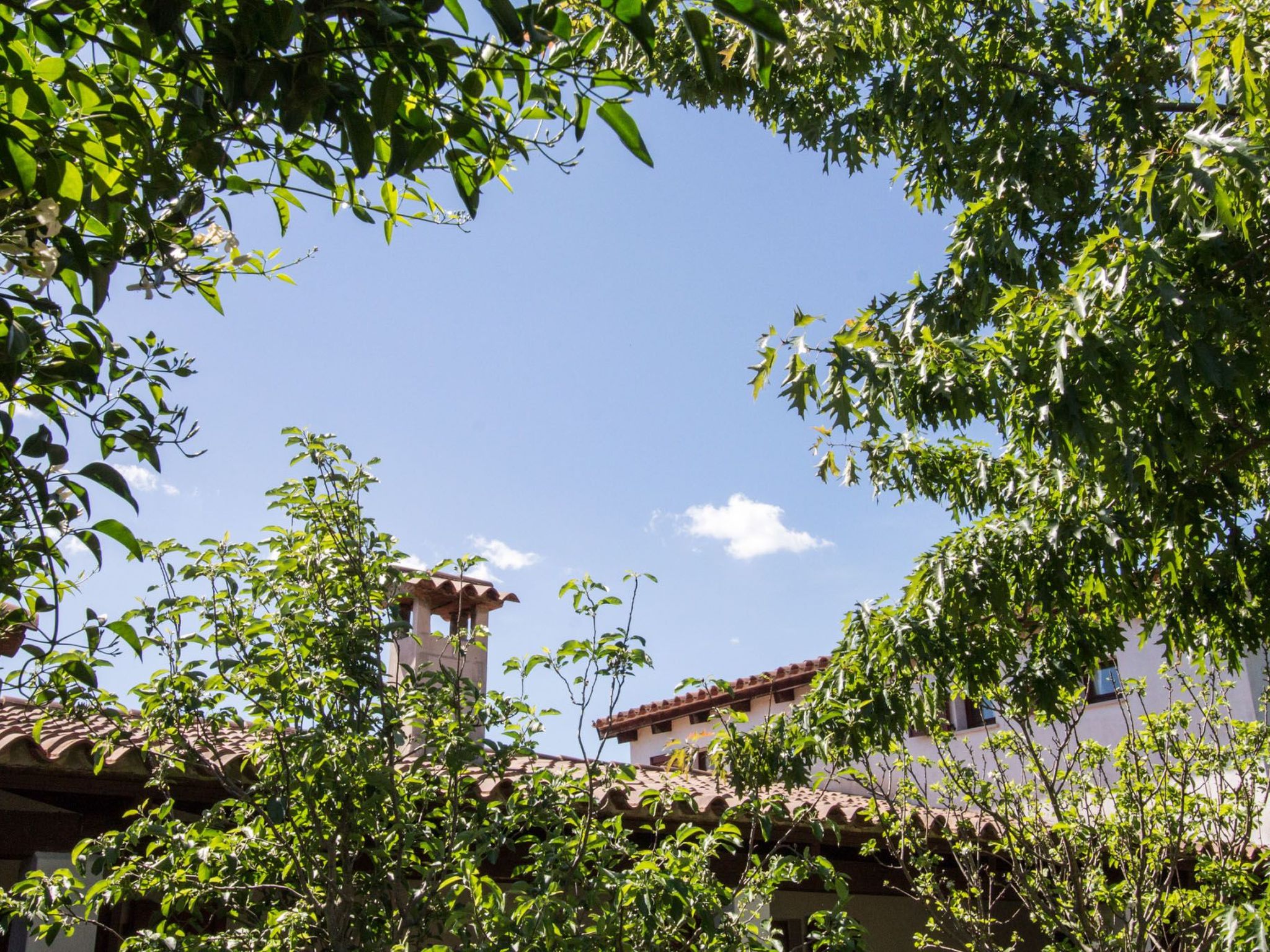 Natur, ökologische Nachhaltigkeit, nur für Erwachsene, Meer in der Nähe-Binnen