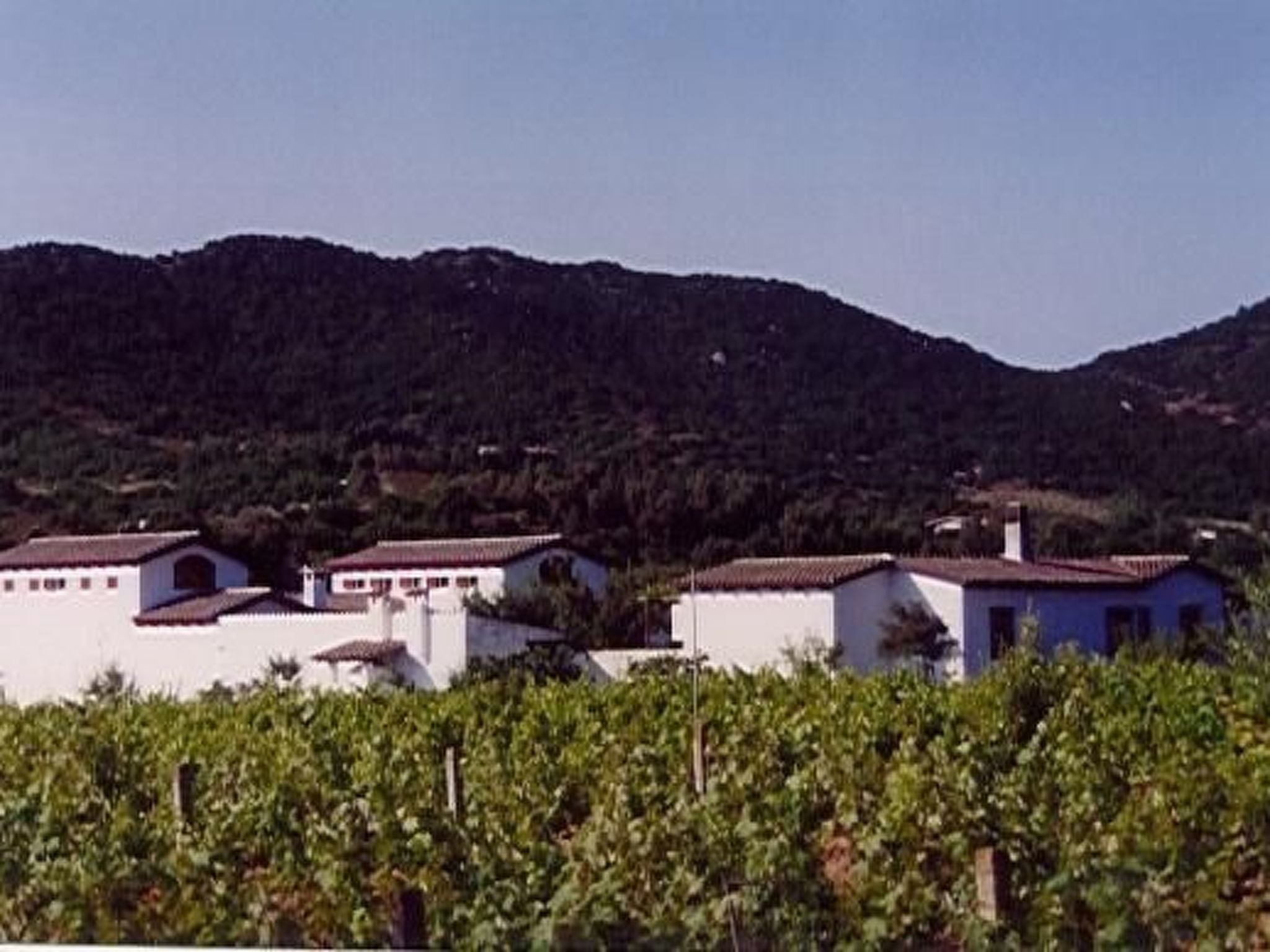 Natur, ökologische Nachhaltigkeit, nur für Erwachsene, Meer in der Nähe-Binnen