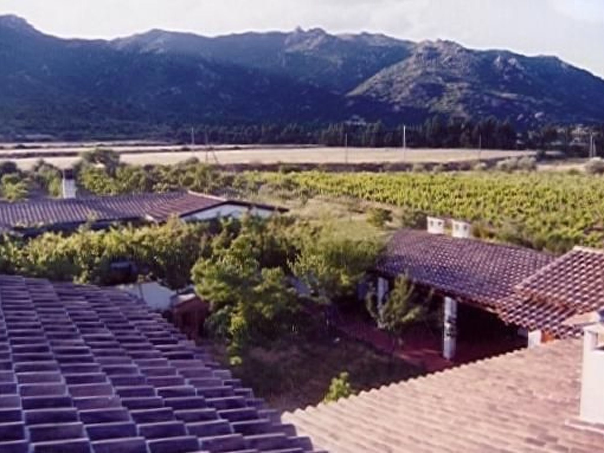 Natur, ökologische Nachhaltigkeit, nur für Erwachsene, Meer in der Nähe-Binnen