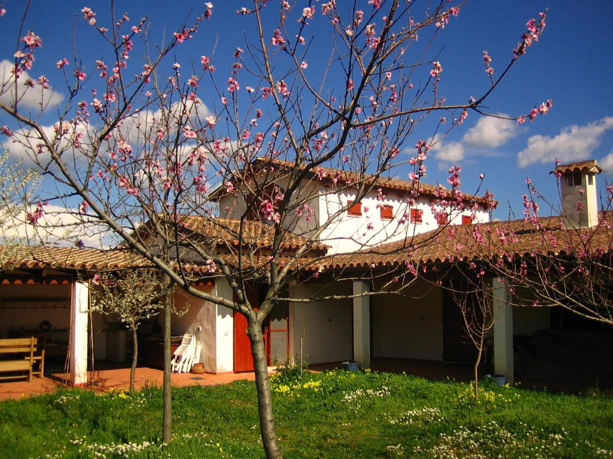 Natur, ökologische Nachhaltigkeit, nur für Erwachsene, Meer in der Nähe-Binnen