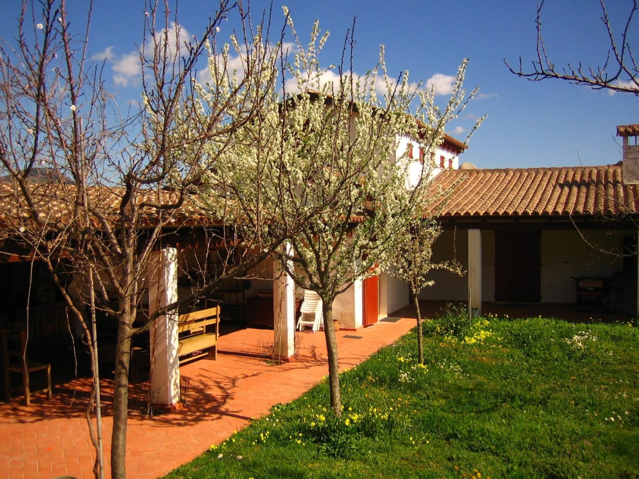 Natur, ökologische Nachhaltigkeit, nur für Erwachsene, Meer in der Nähe-Binnen