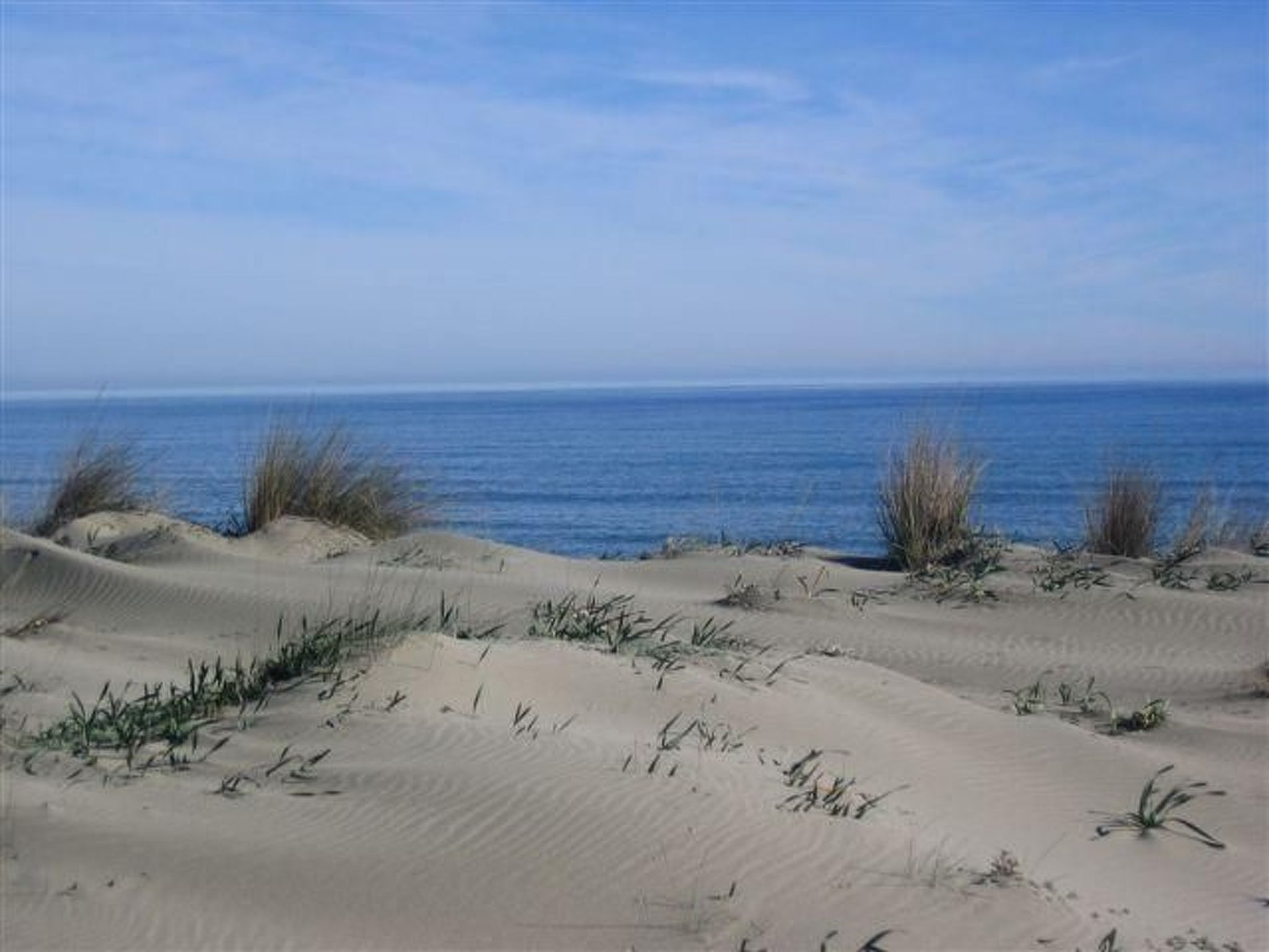 Natur, ökologische Nachhaltigkeit, nur für Erwachsene, Meer in der Nähe-Binnen
