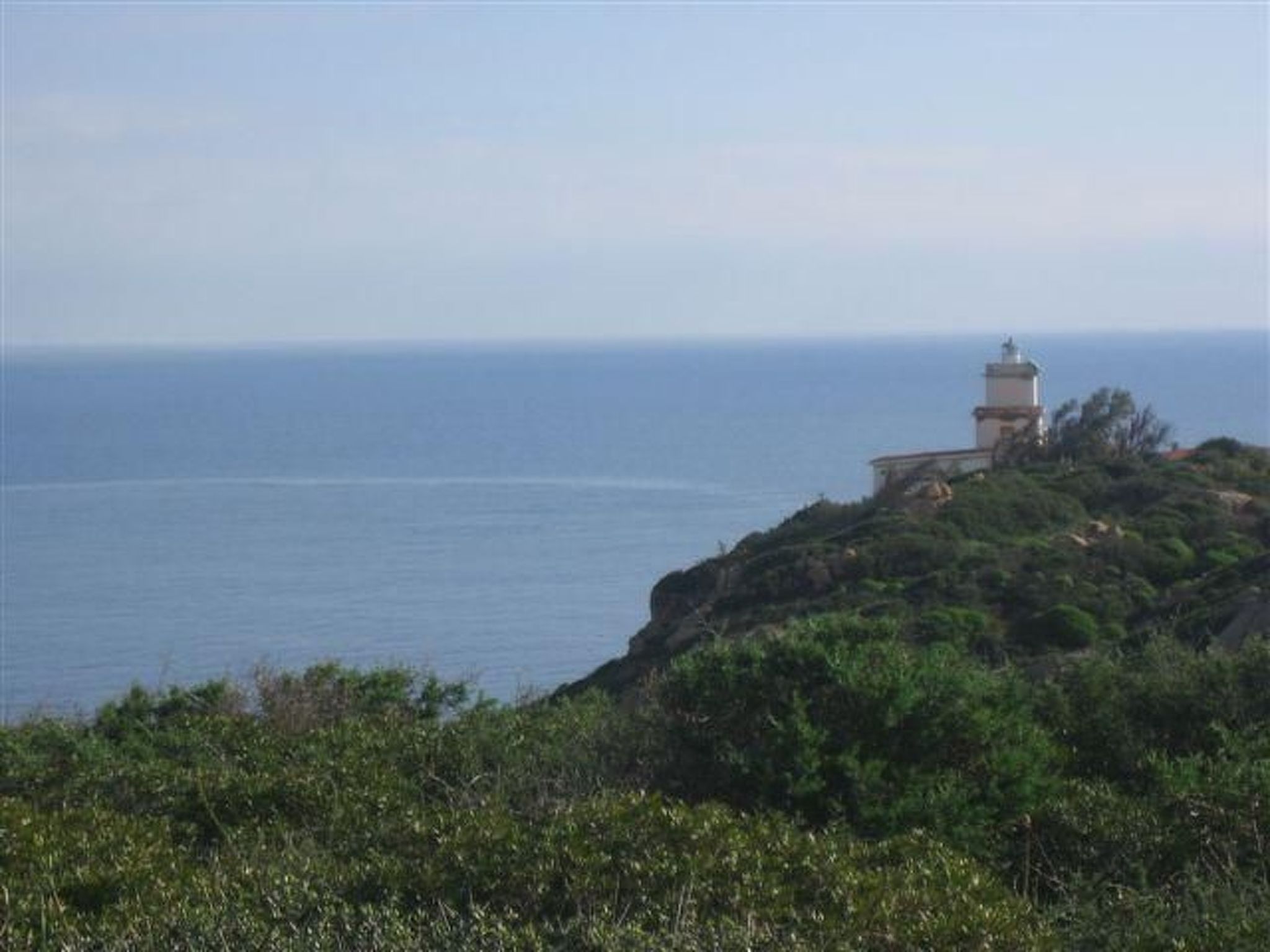 Natur, ökologische Nachhaltigkeit, nur für Erwachsene, Meer in der Nähe-Binnen