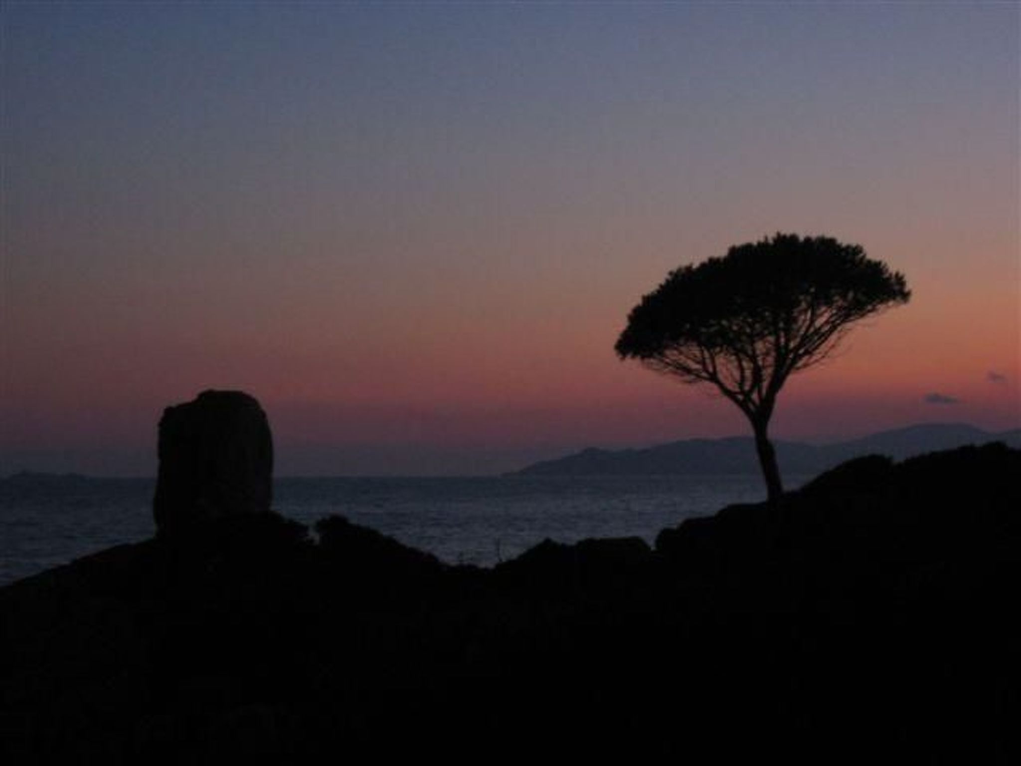 Natur, ökologische Nachhaltigkeit, nur für Erwachsene, Meer in der Nähe-Binnen