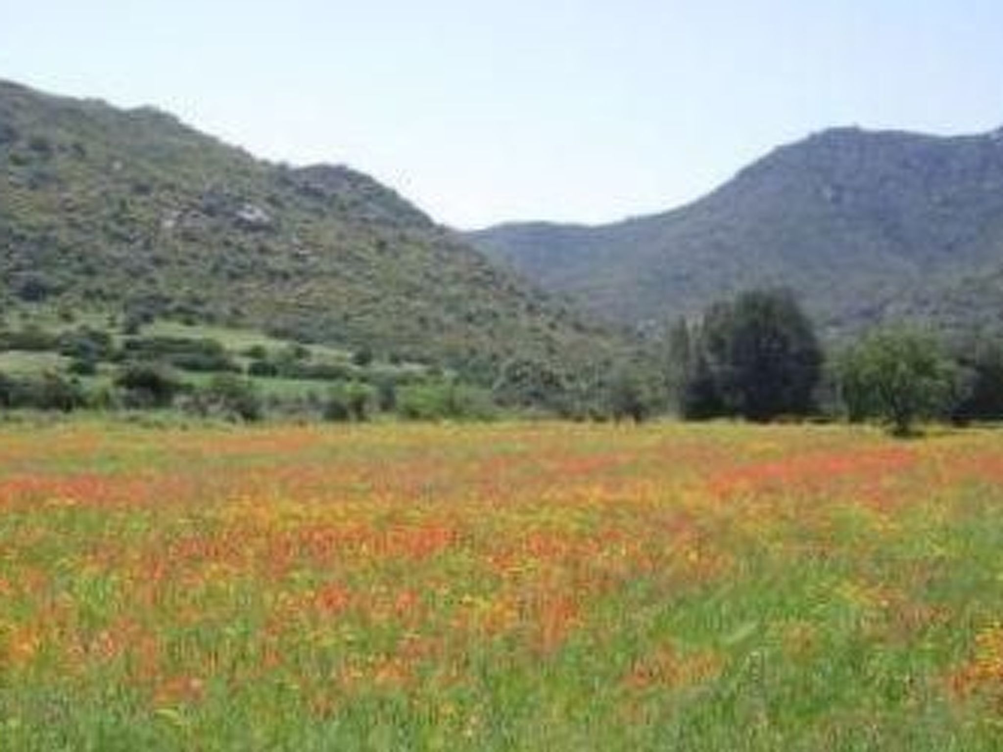 Natur, ökologische Nachhaltigkeit, nur für Erwachsene, Meer in der Nähe-Binnen