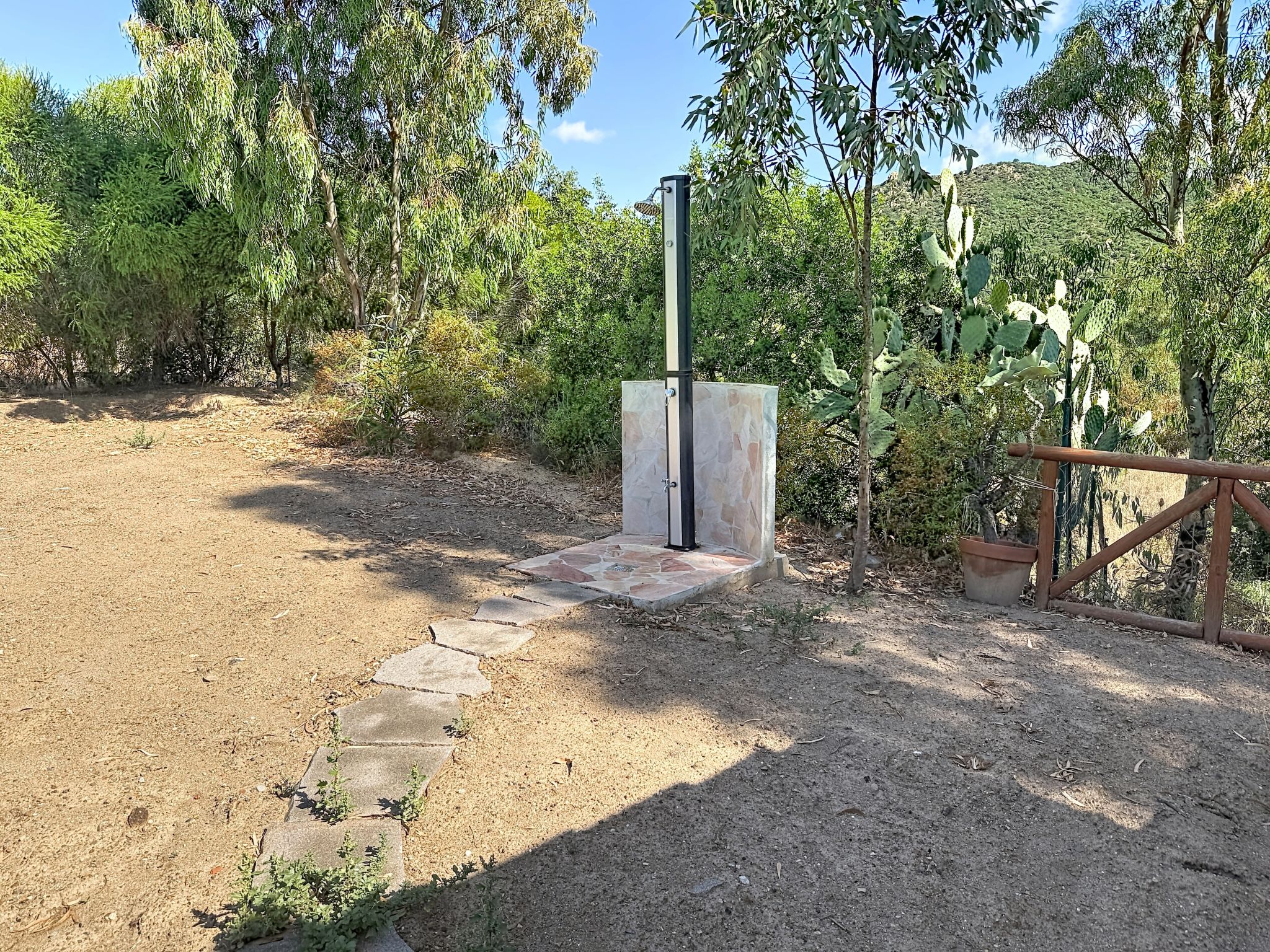 Photo of Eucalipto