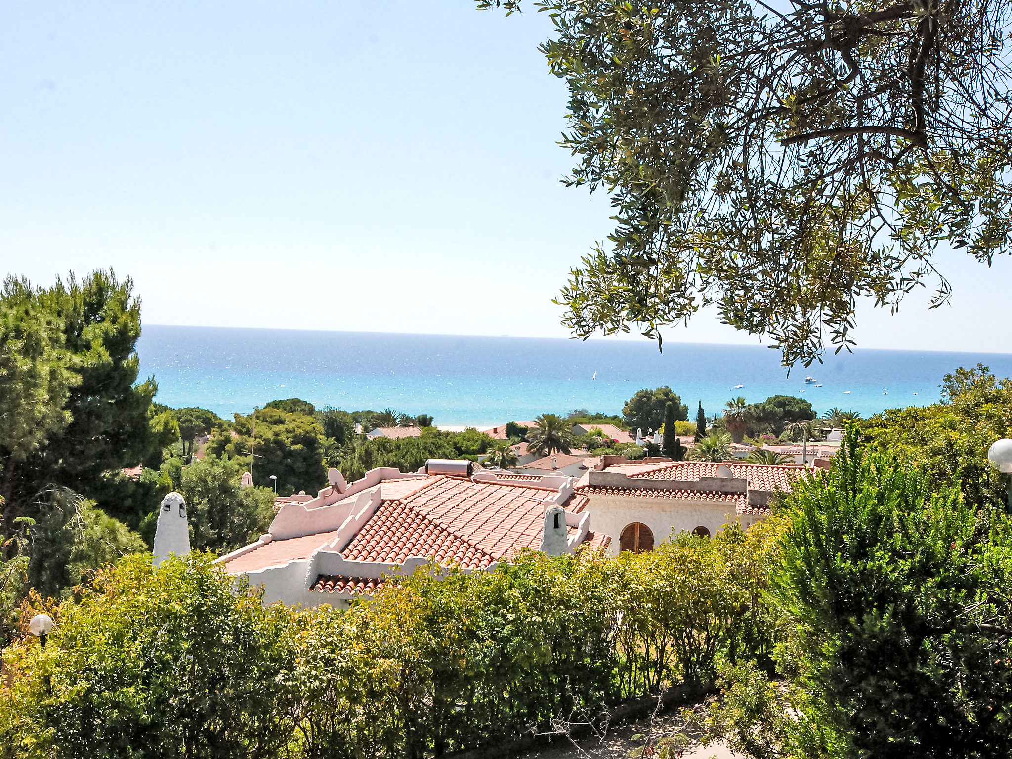 Photo of Belvedere Bilo