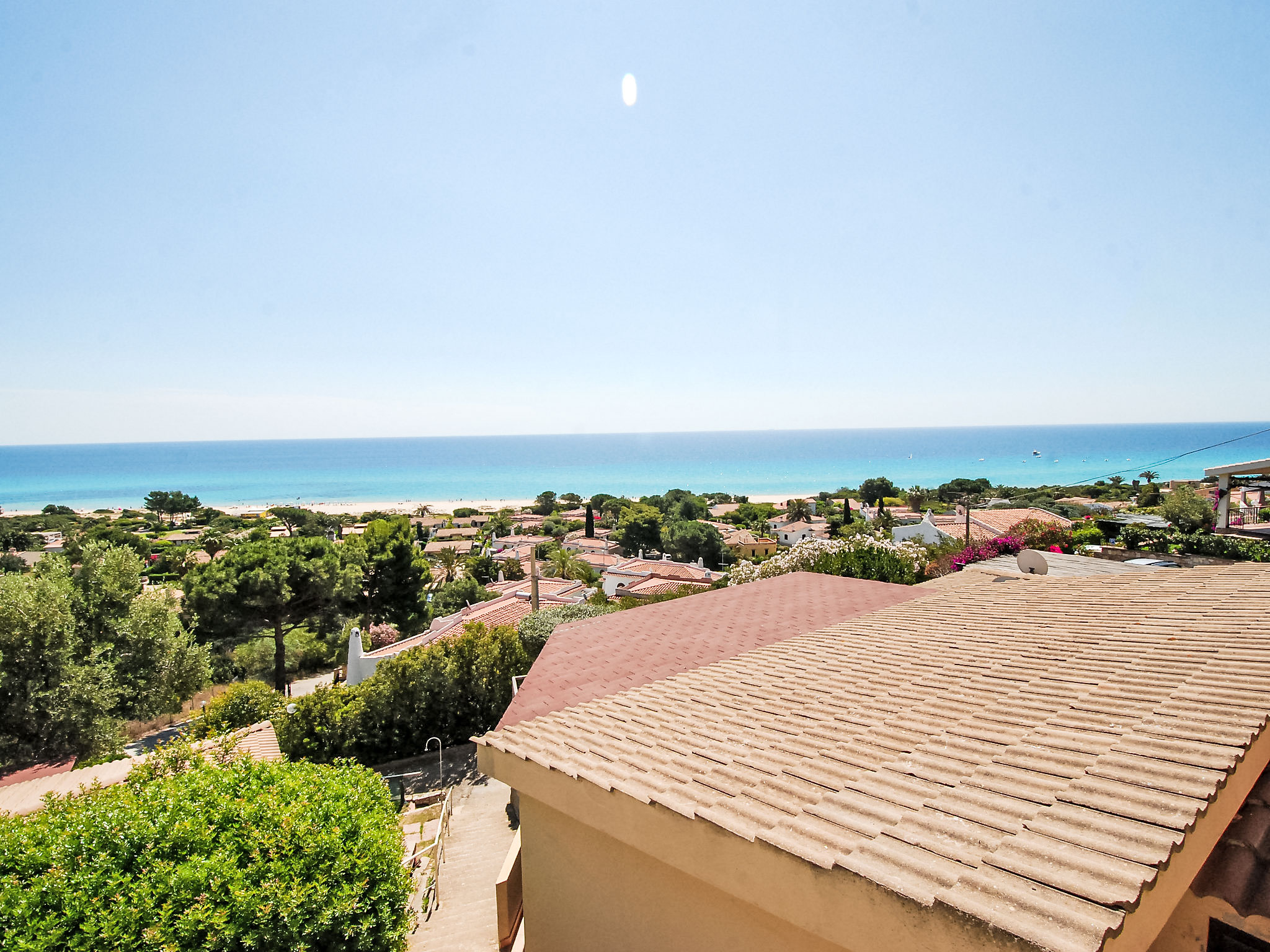 Photo of Belvedere Bilo