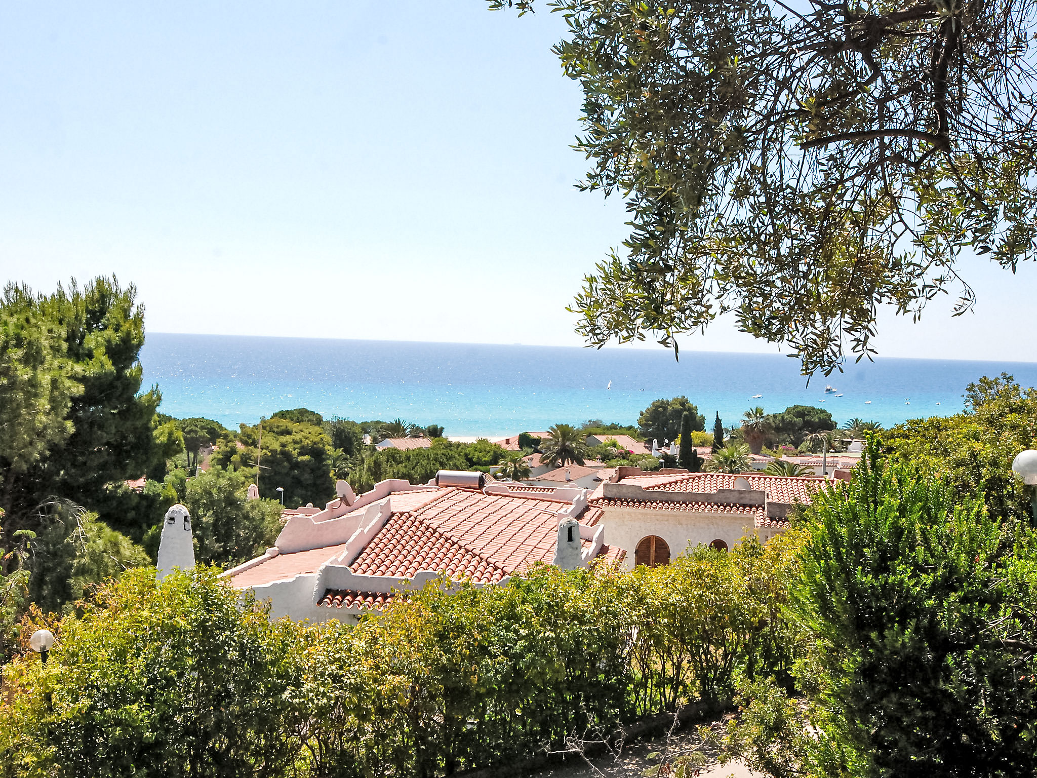 Photo of Belvedere Trilo