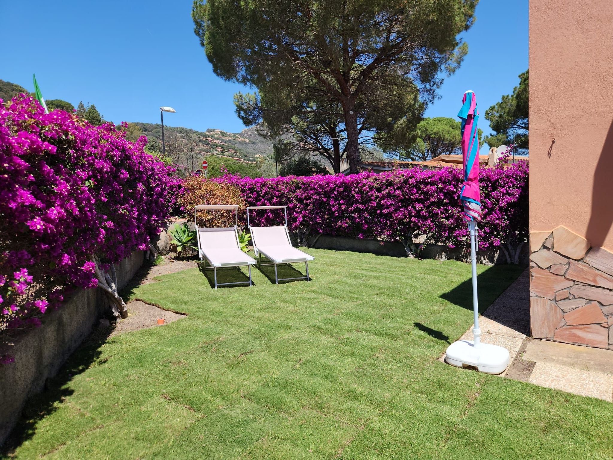 Photo of 'Trilo Luna