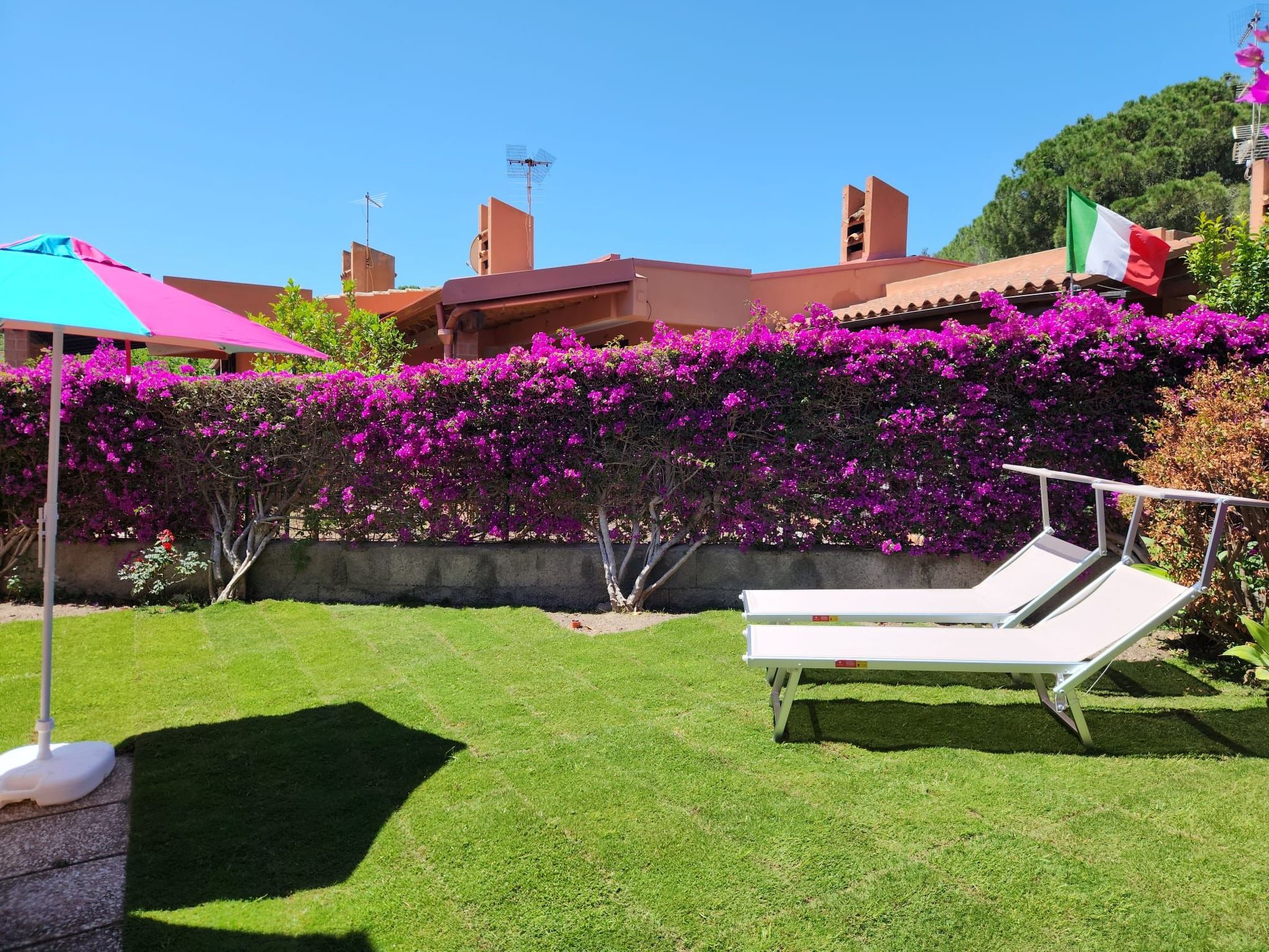 Photo of 'Trilo Luna