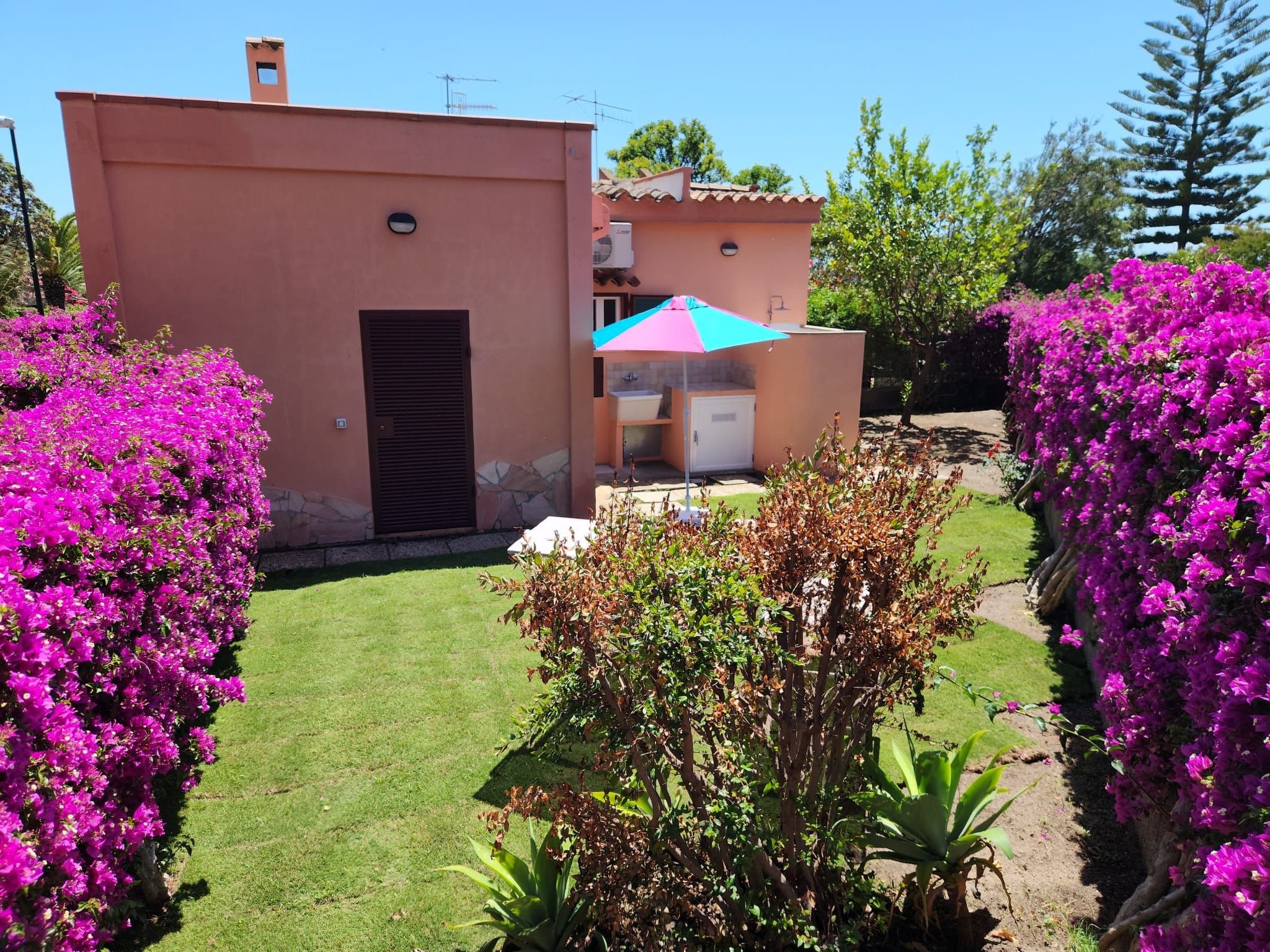 Photo of 'Trilo Luna