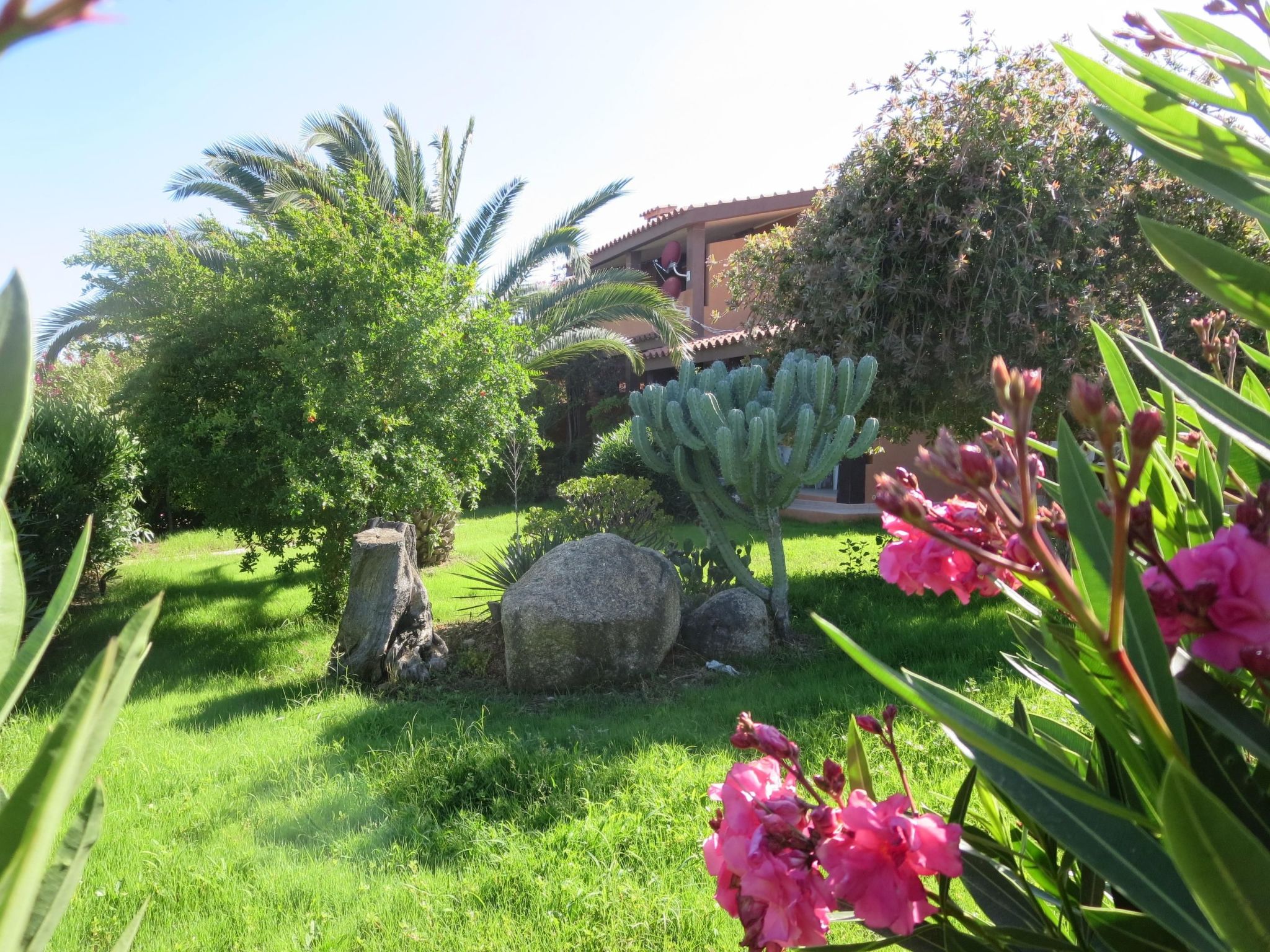 Trilo Martina-Binnen