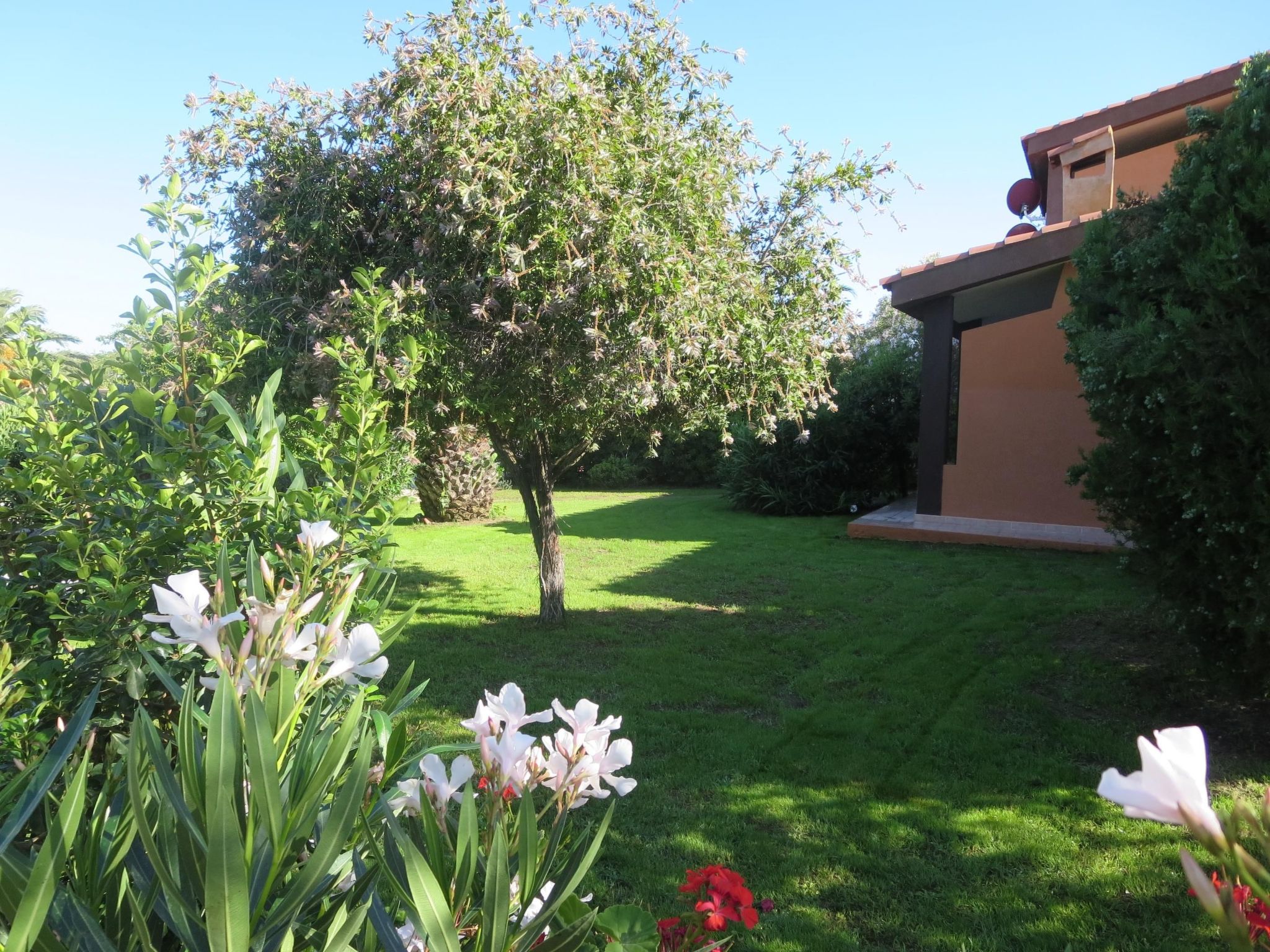 Trilo Martina-Binnen