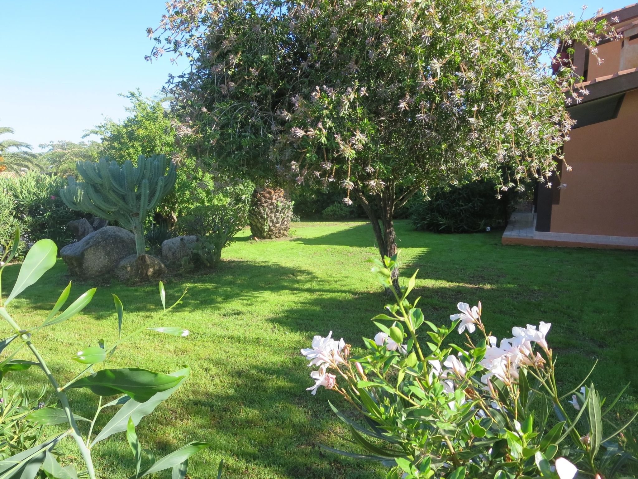 Trilo Martina-Binnen