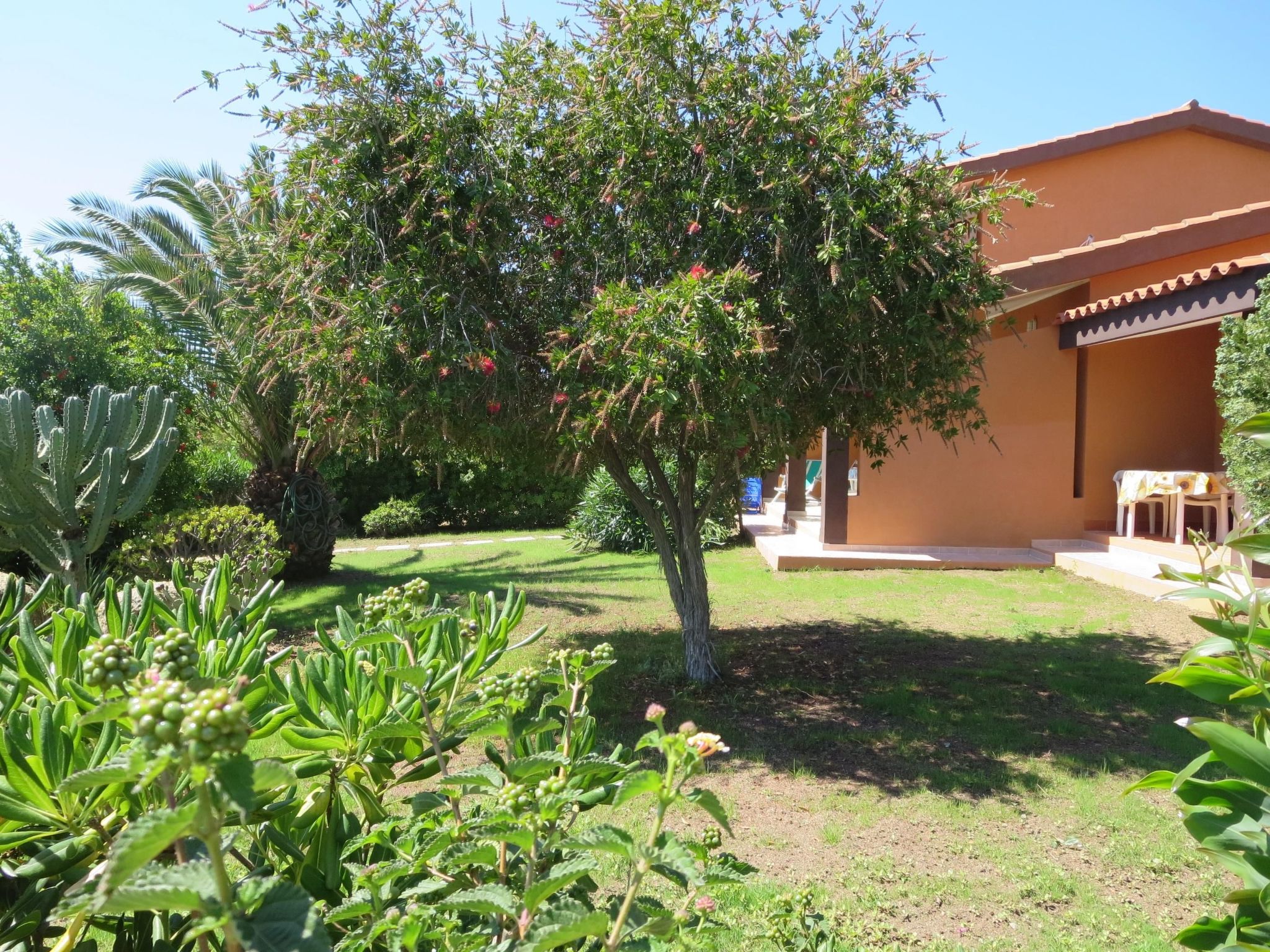 Trilo Martina-Binnen