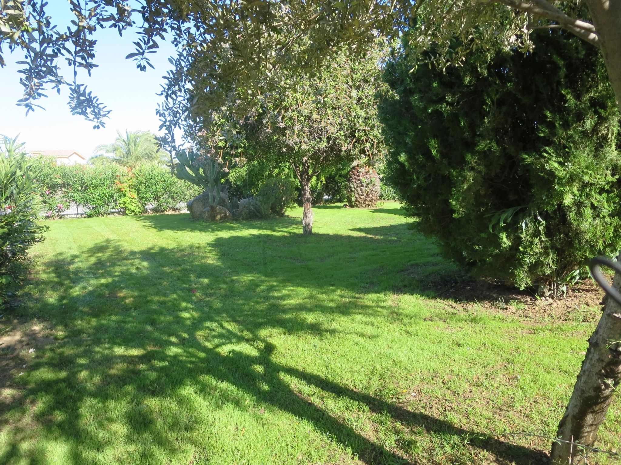 Trilo Martina-Binnen