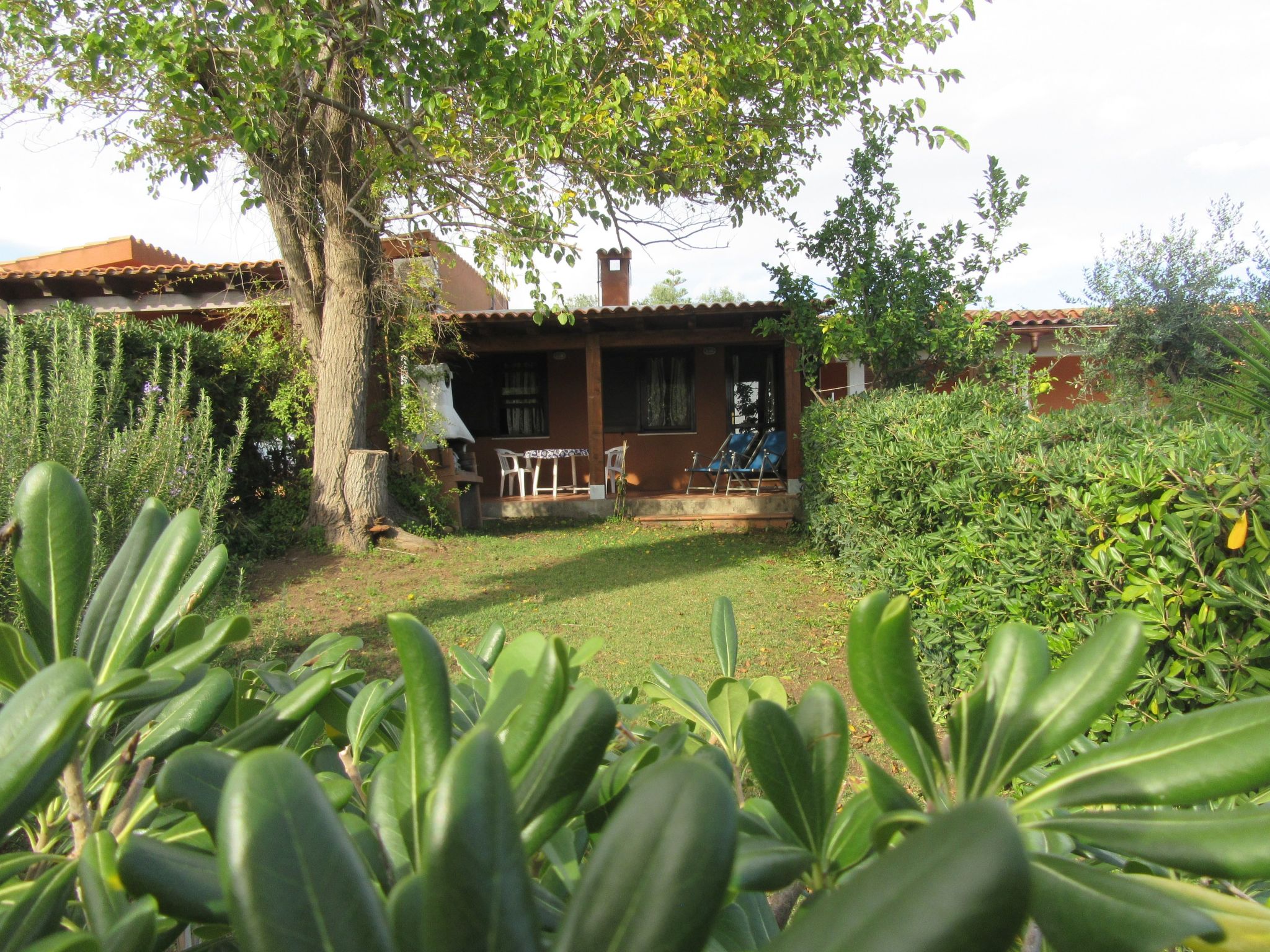 Bilo Gewächshaus-Binnen