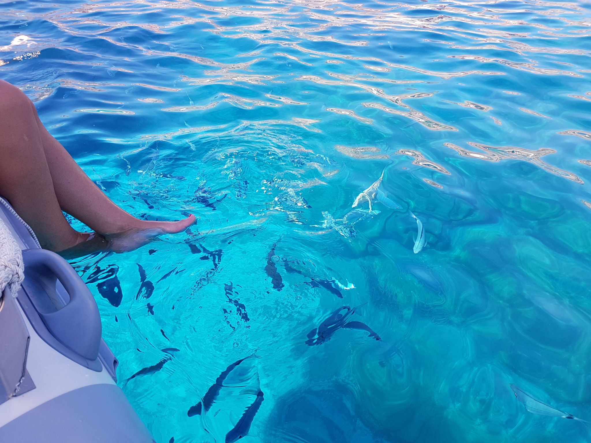 Mit Wasserblick-Draußen