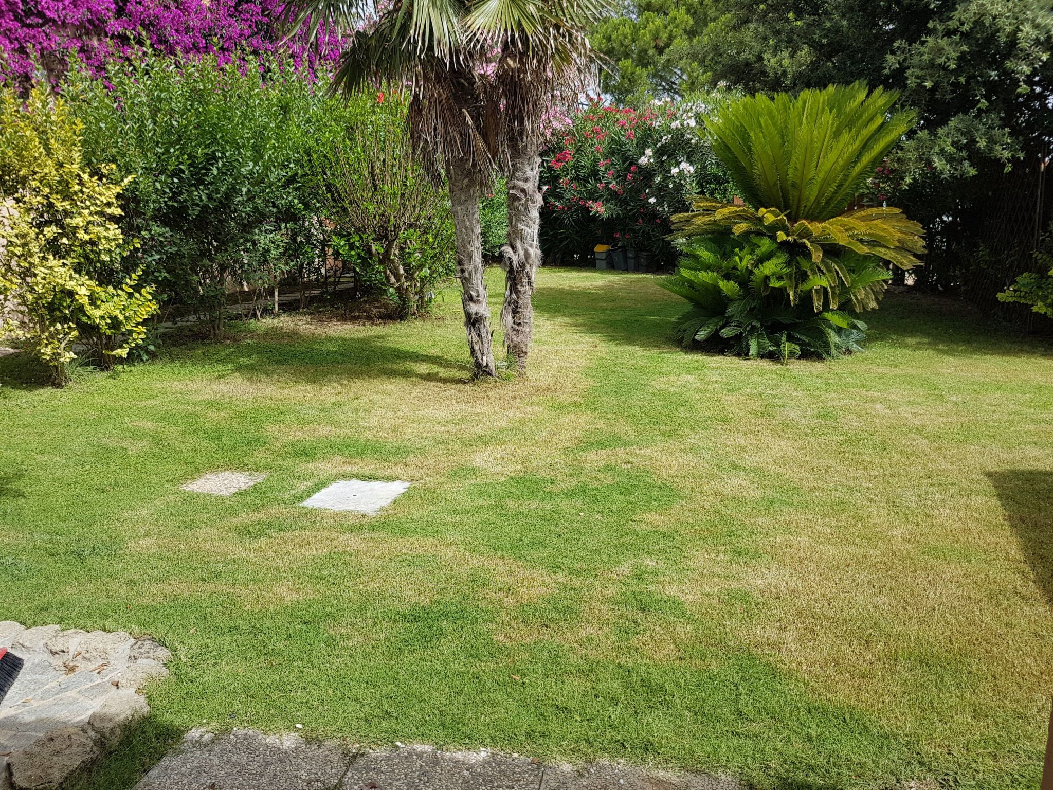 Photo of mit Wasserblick