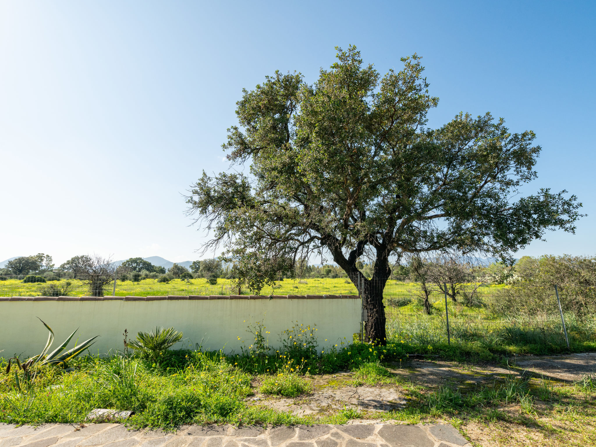 Photo of Sa Frontera