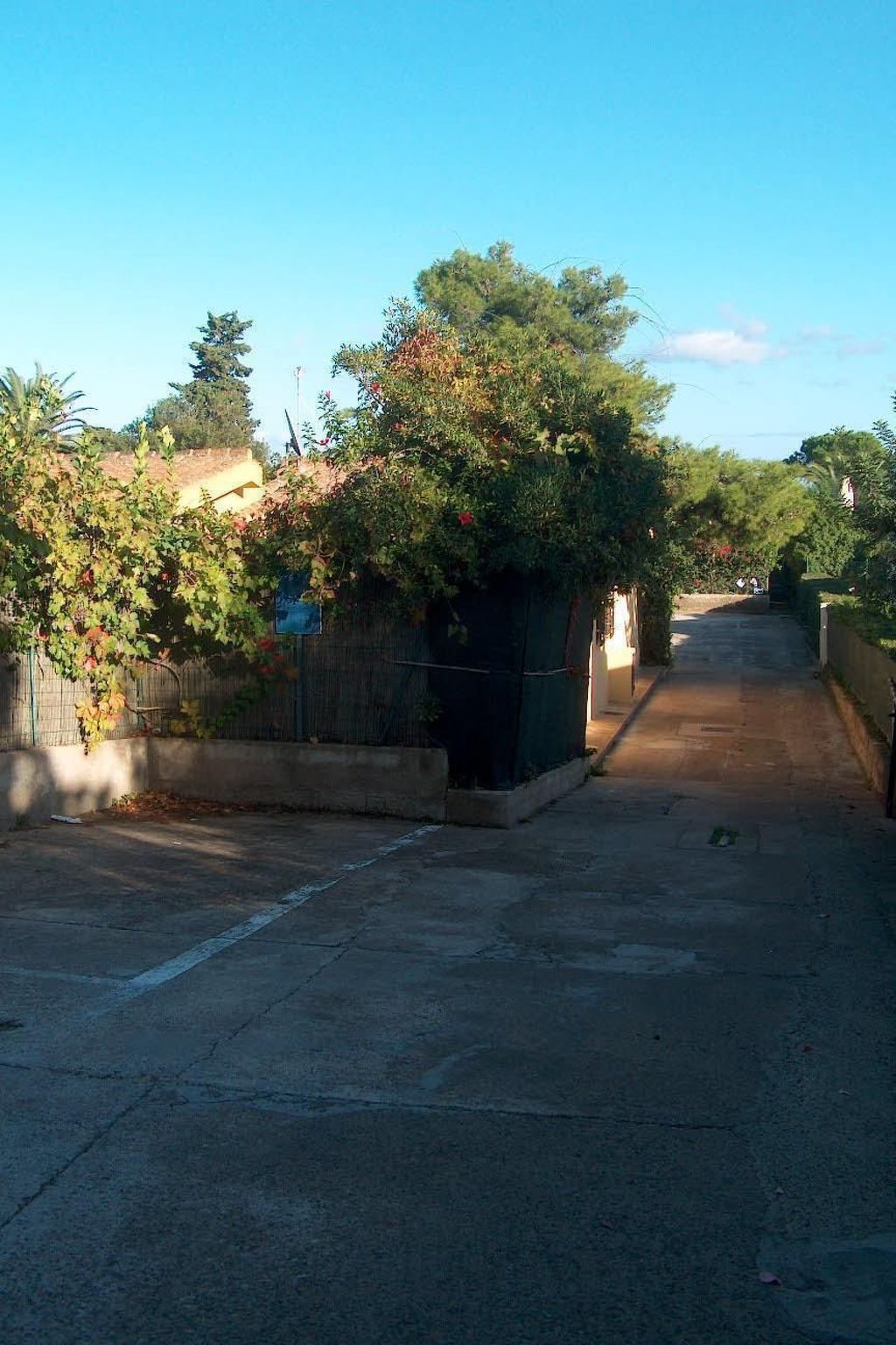 Palma direkt am Meer-Inside