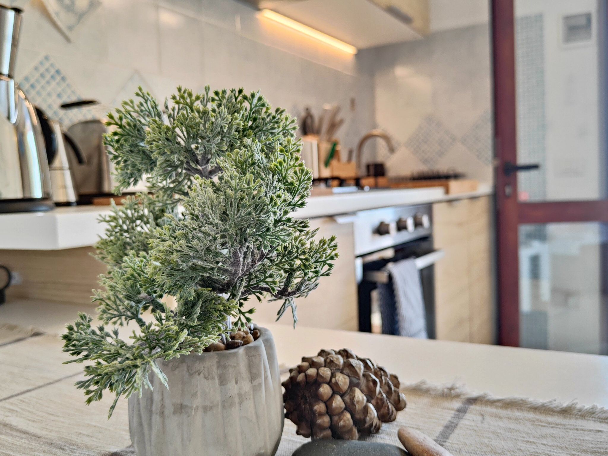 Photo of Belvedere Bilo