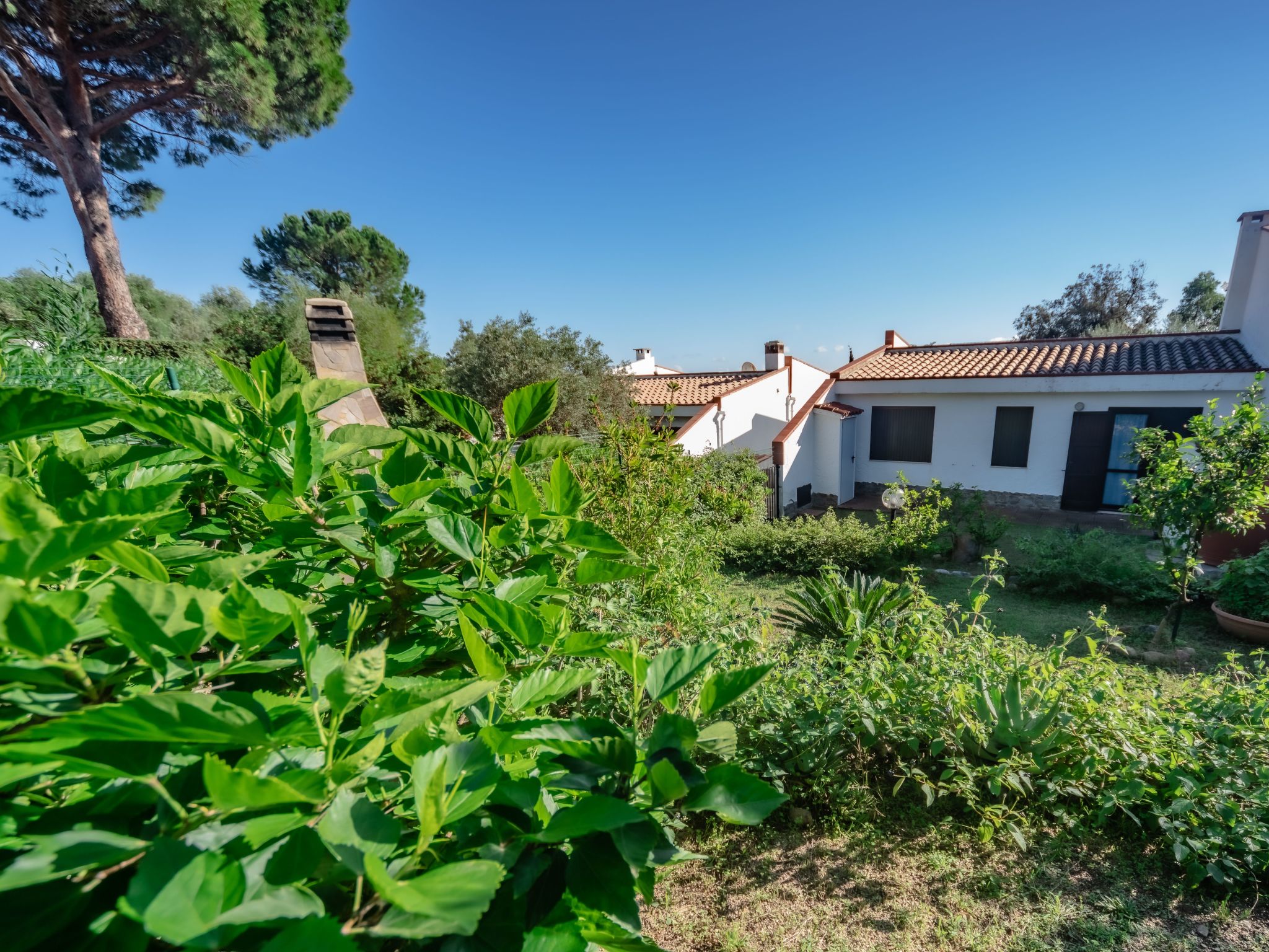Photo of Haus in Costa Rei mit Terrasse, Garten und Grill