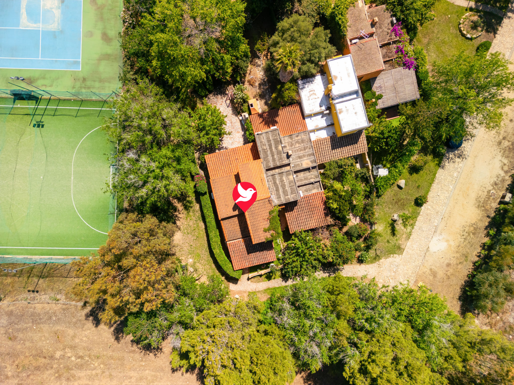 Photo of Cordolino Blu