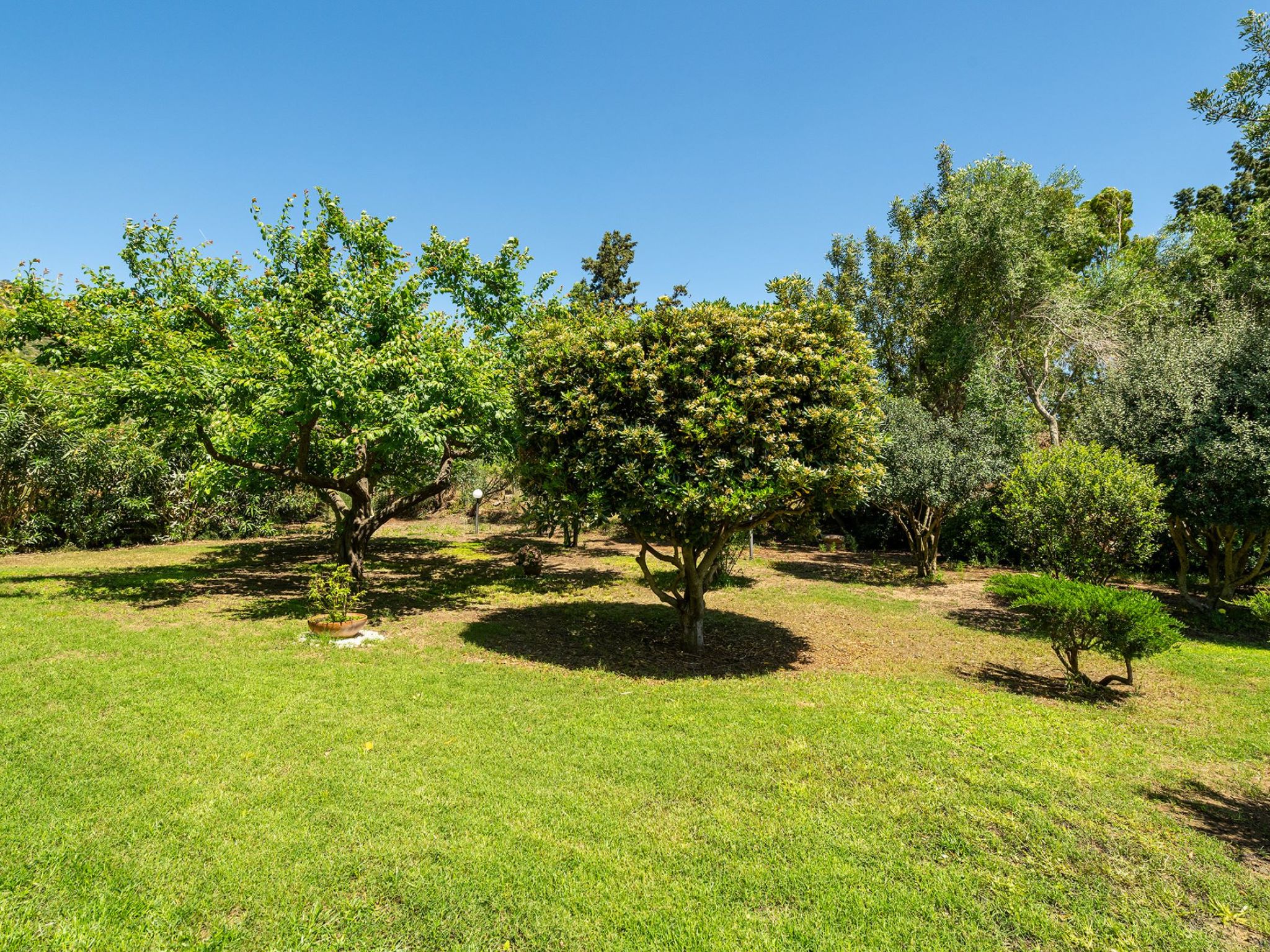Photo of Malù House