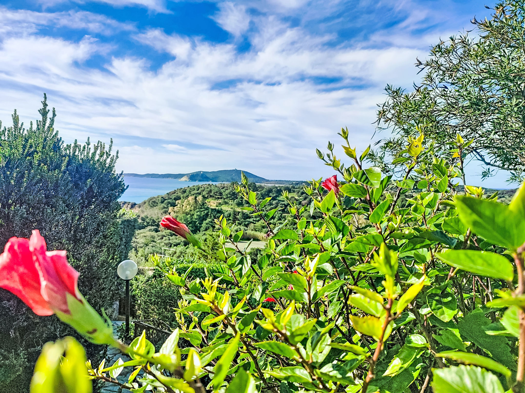 Photo of Casetta nel blu