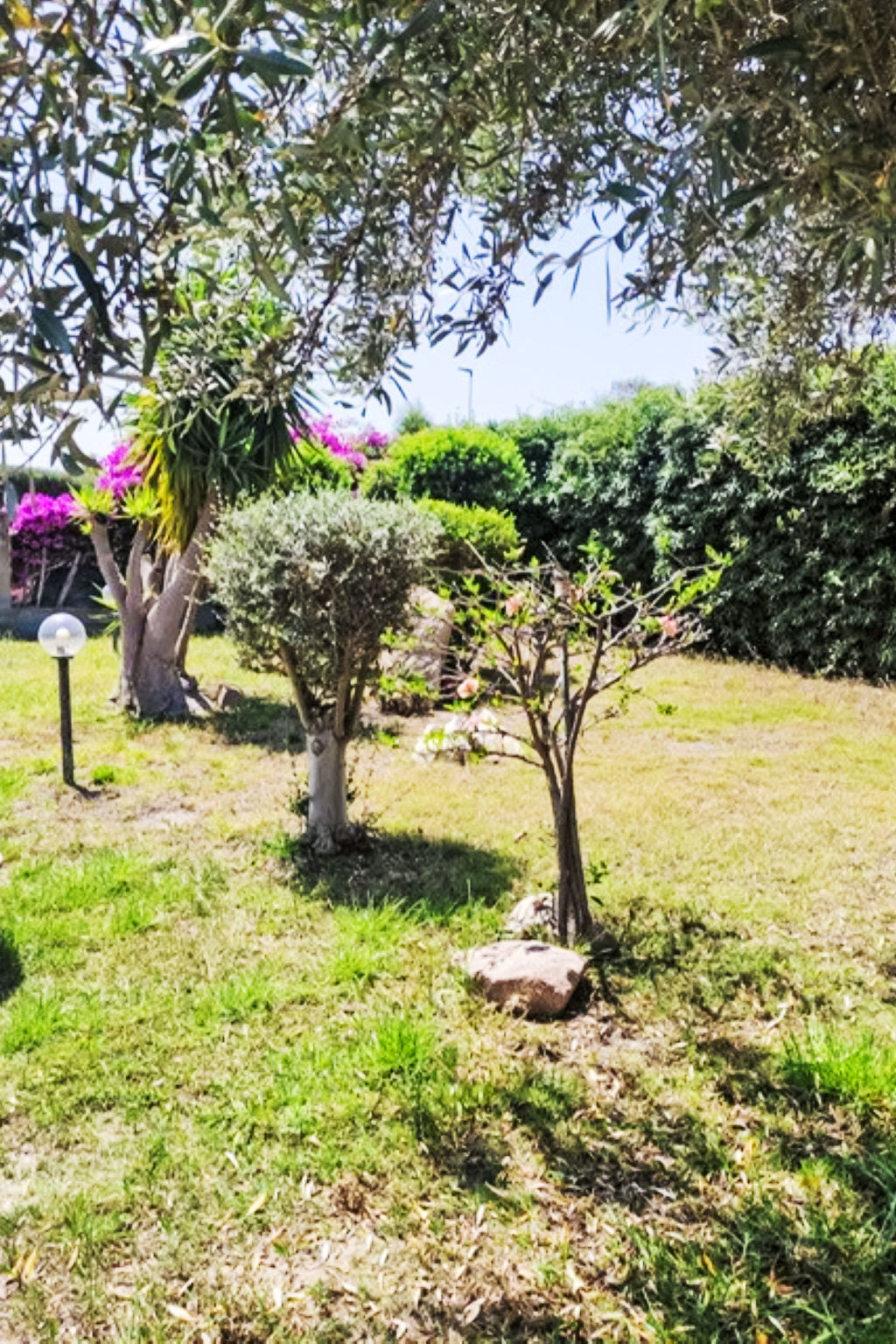 Photo of Villetta Del Mirto