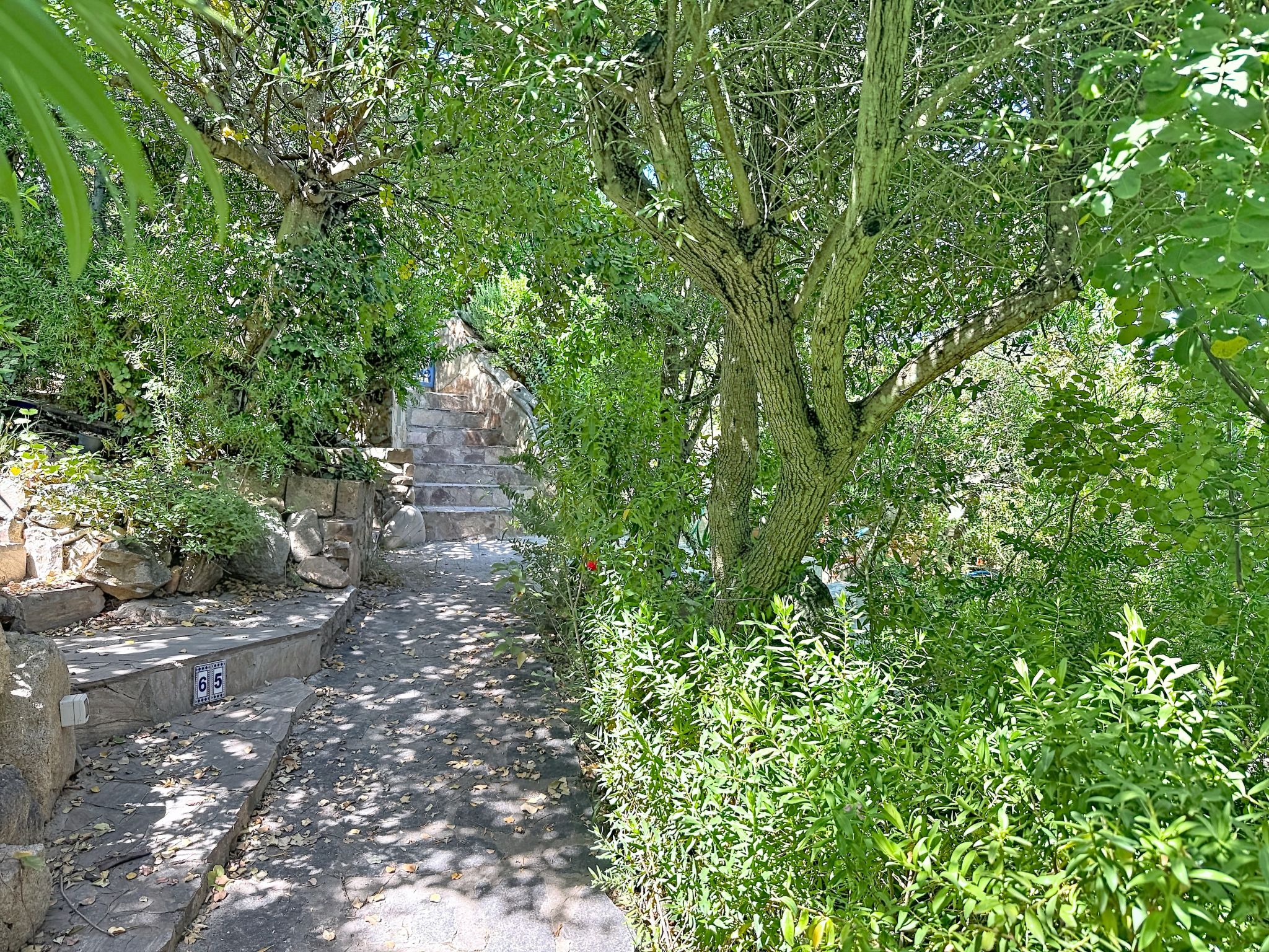 Photo of Porto Luna 1