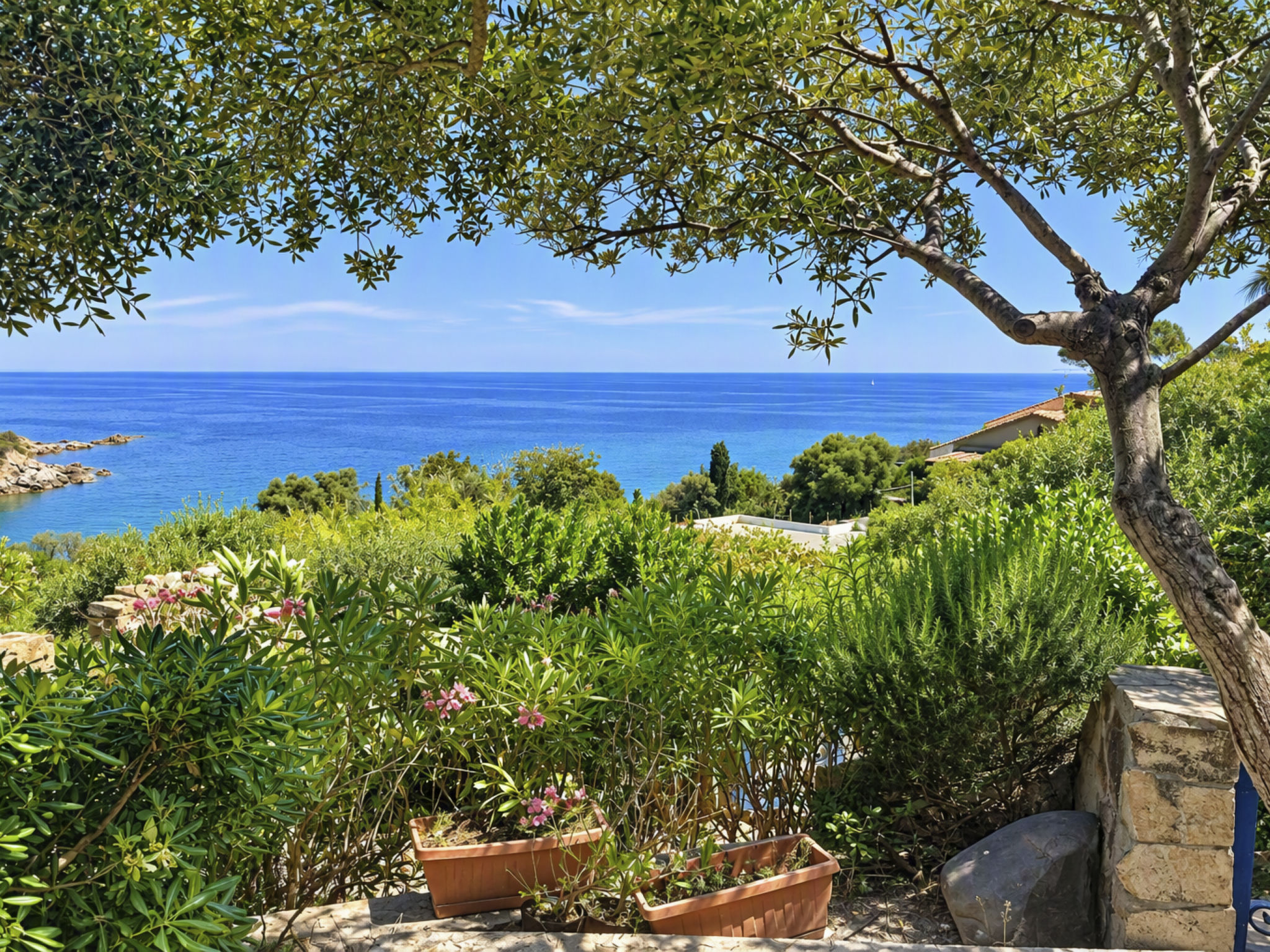 Photo of Porto Luna 1