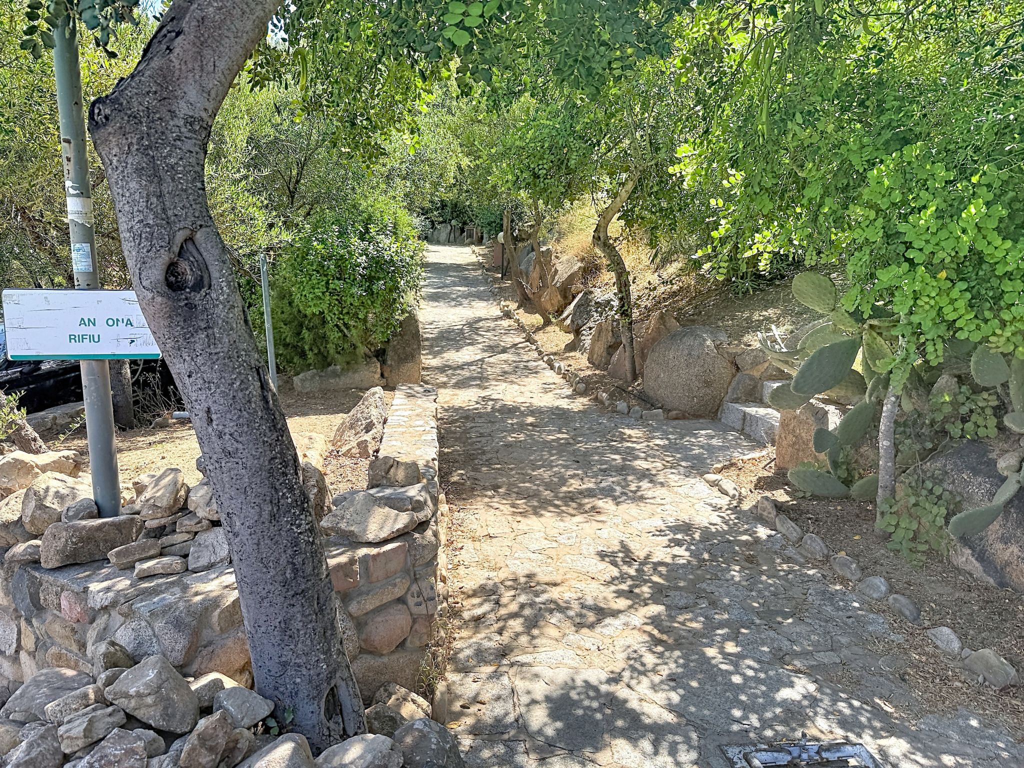Photo of Porto Luna 1