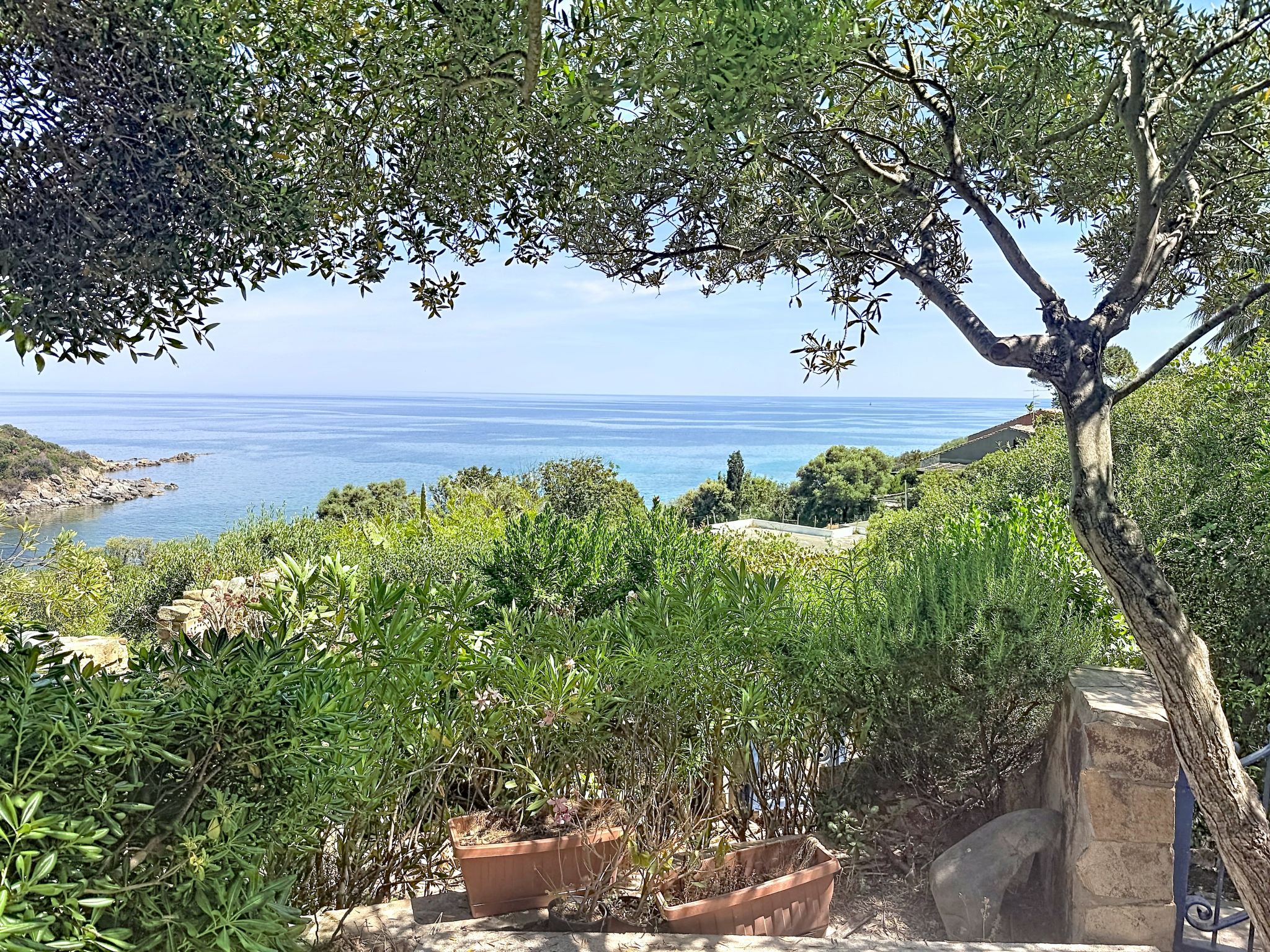 Photo of Porto Luna 1