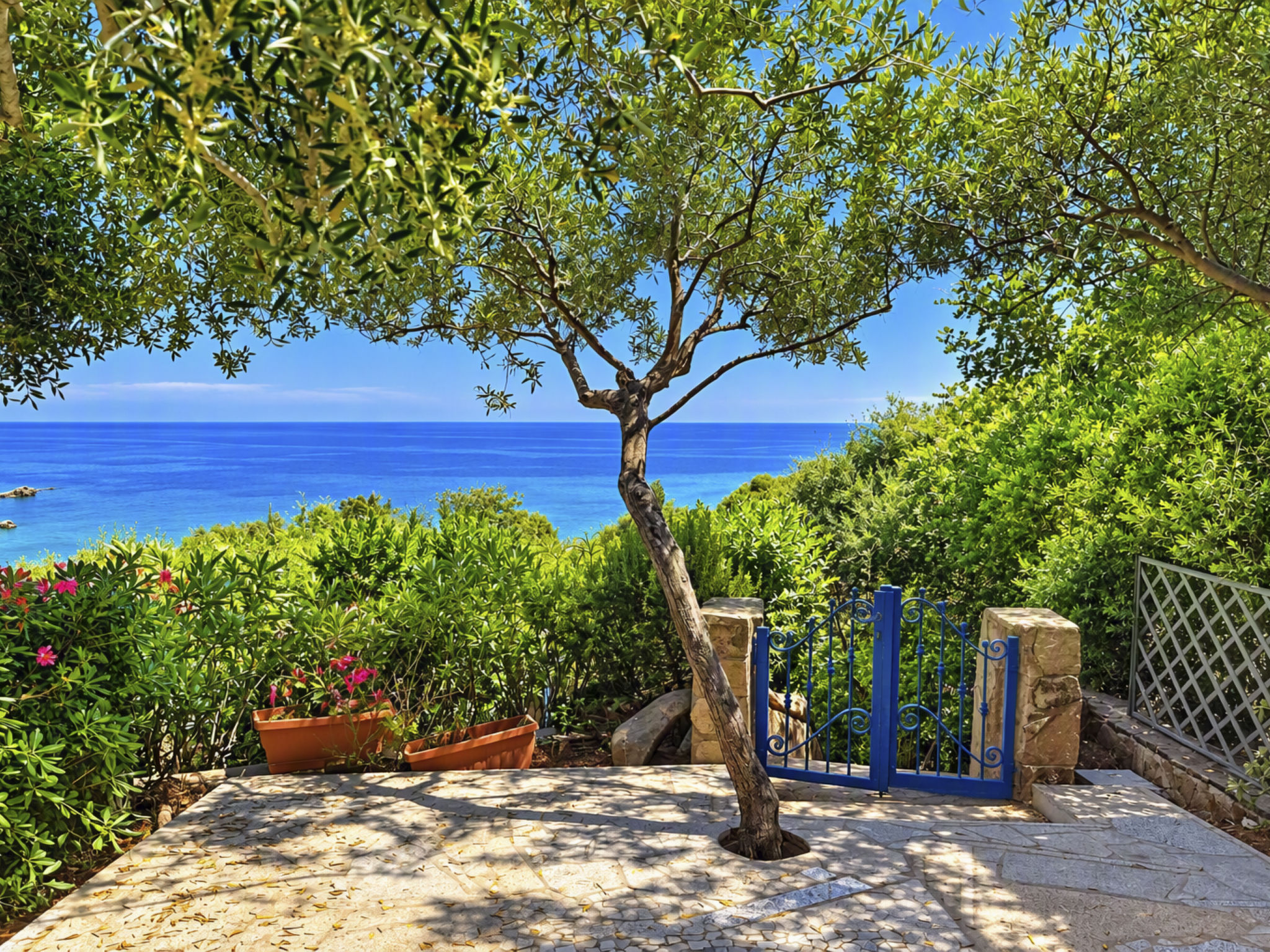 Photo of Porto Luna 1