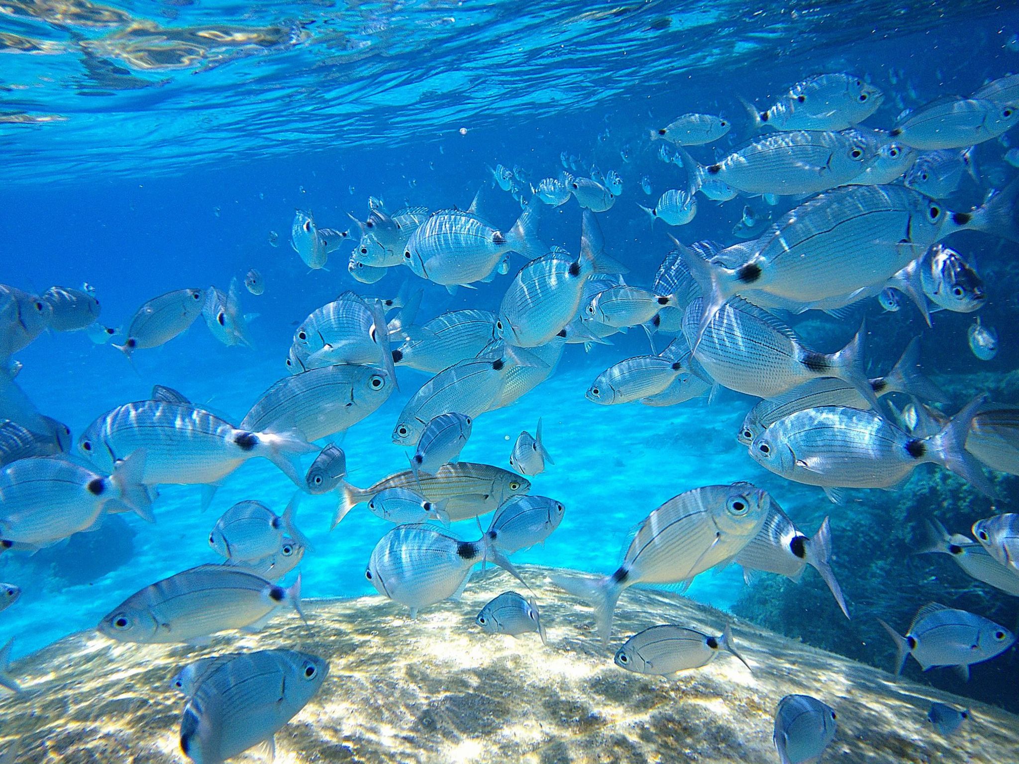 Zwei-Zimmer-Wohnung 1-Binnen