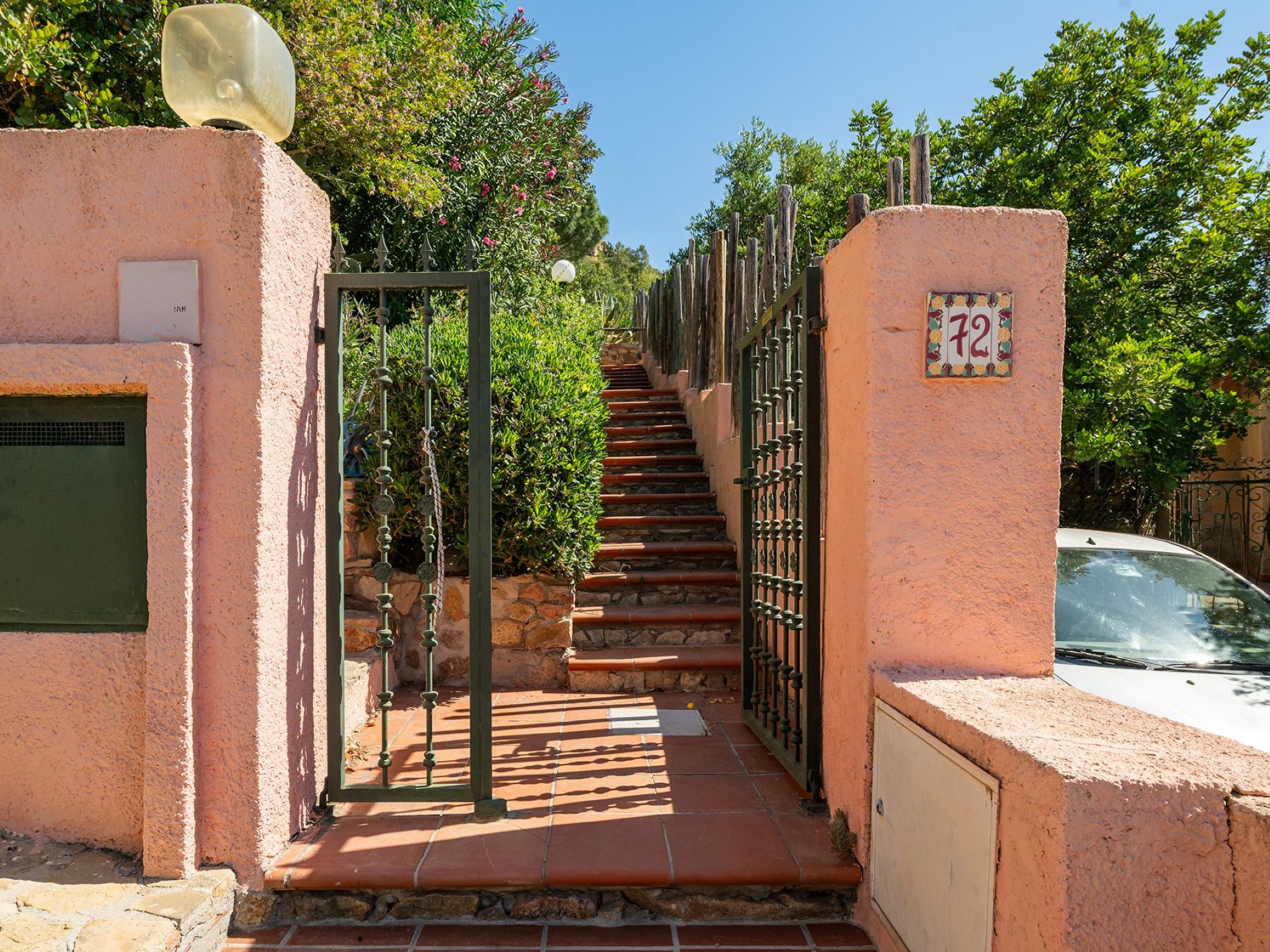 Photo of Pellicano