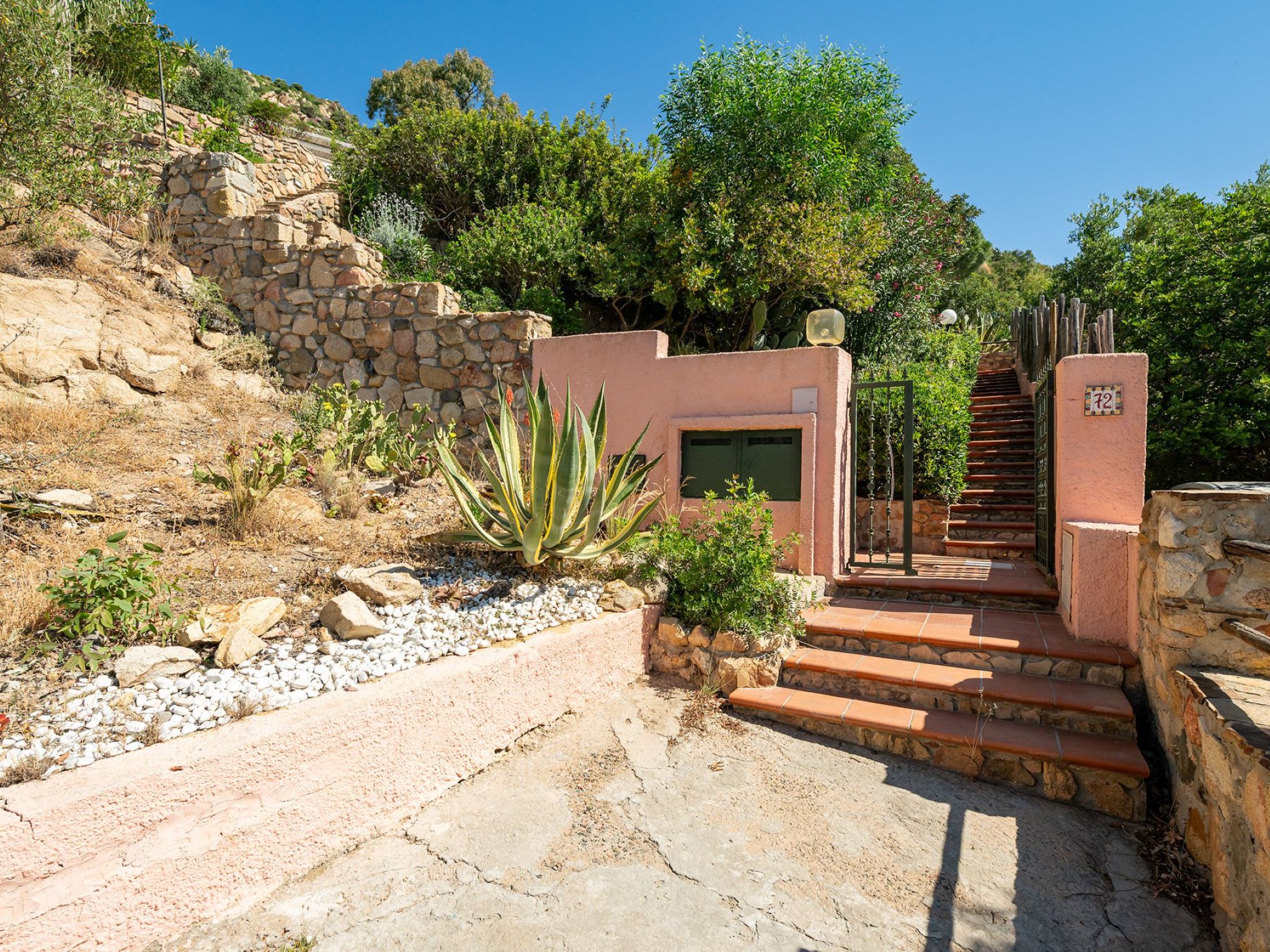 Photo of Pellicano