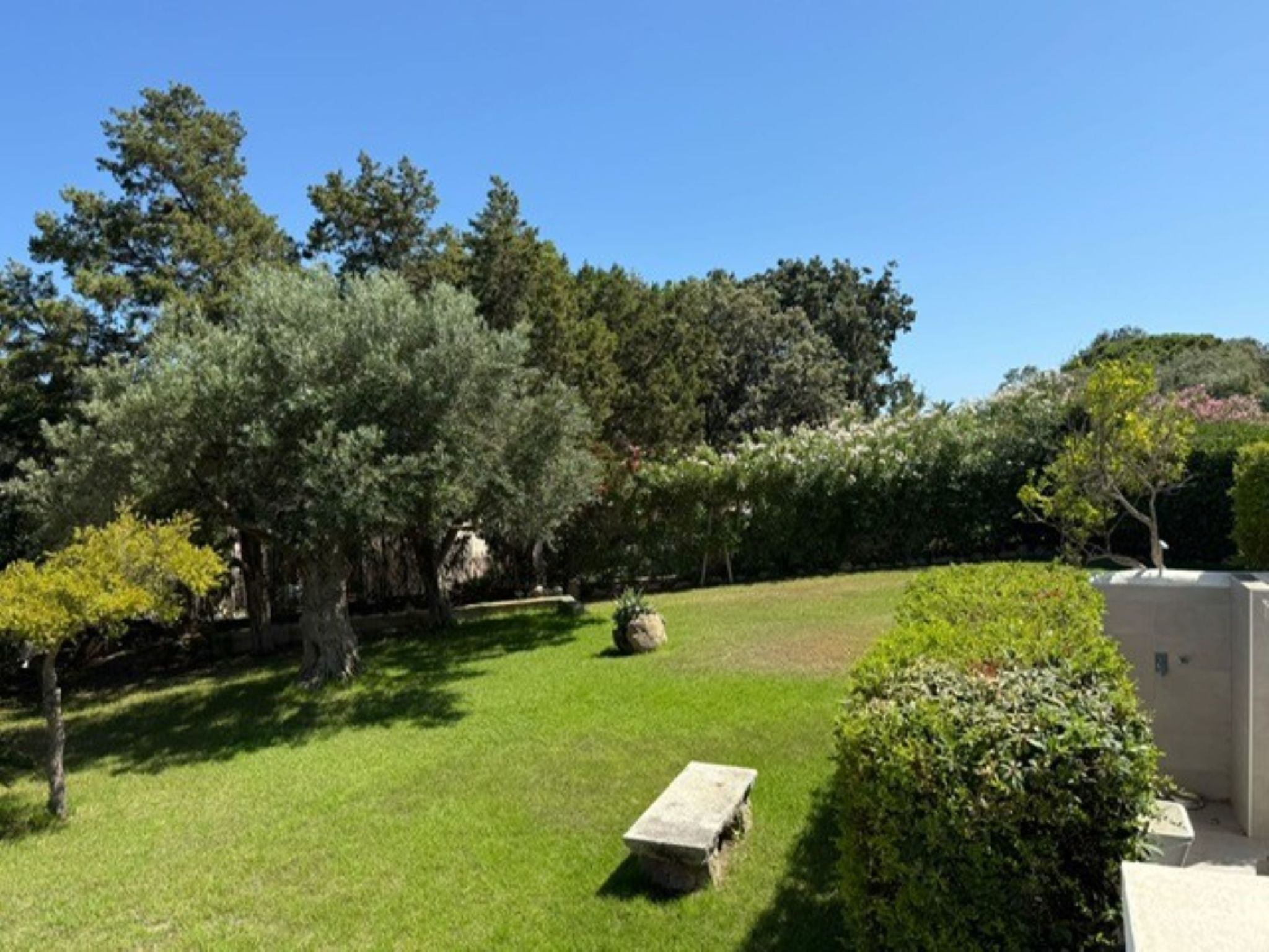 Photo of Conti Mandorleto