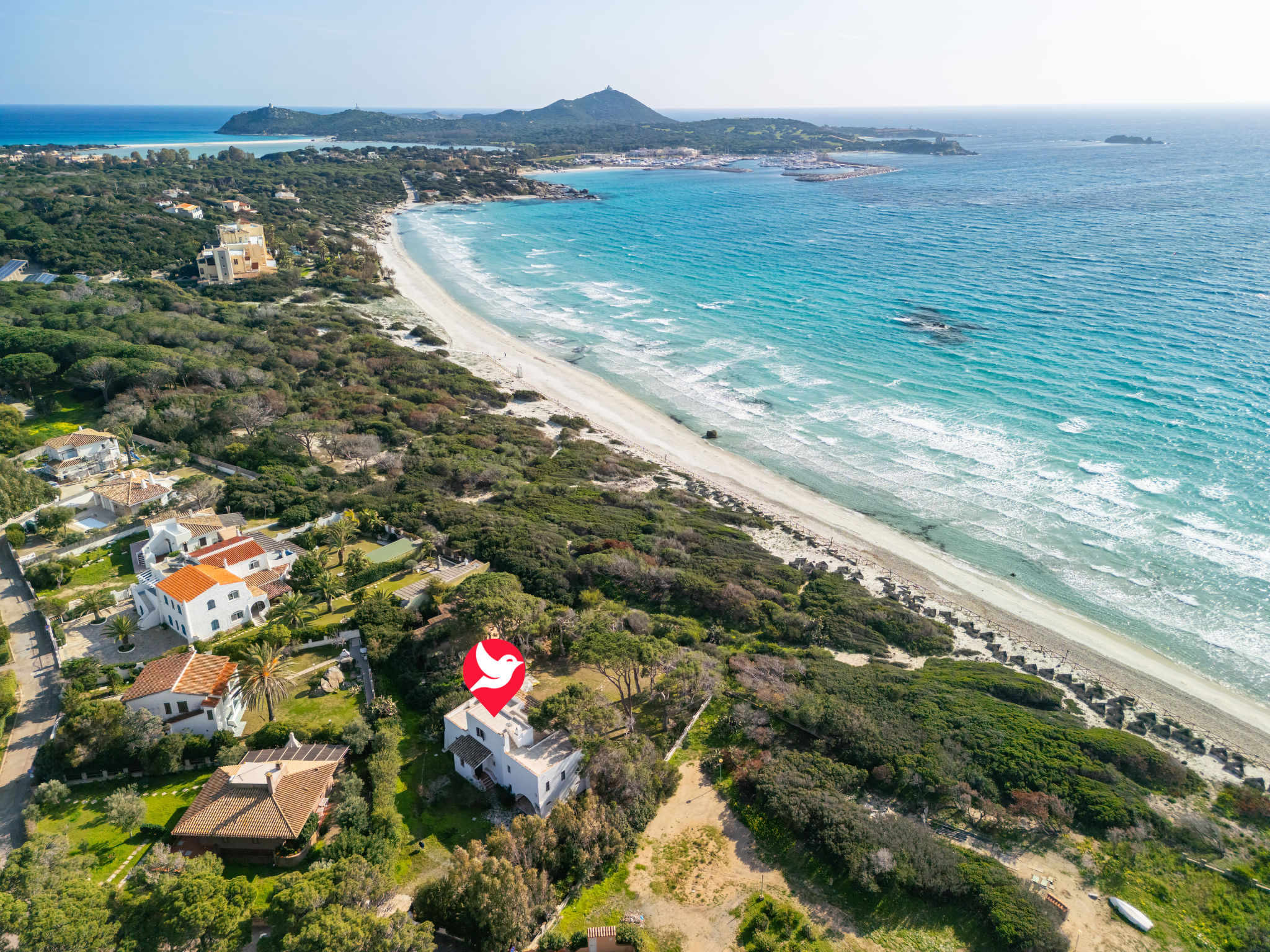 Photo of La Conchiglia